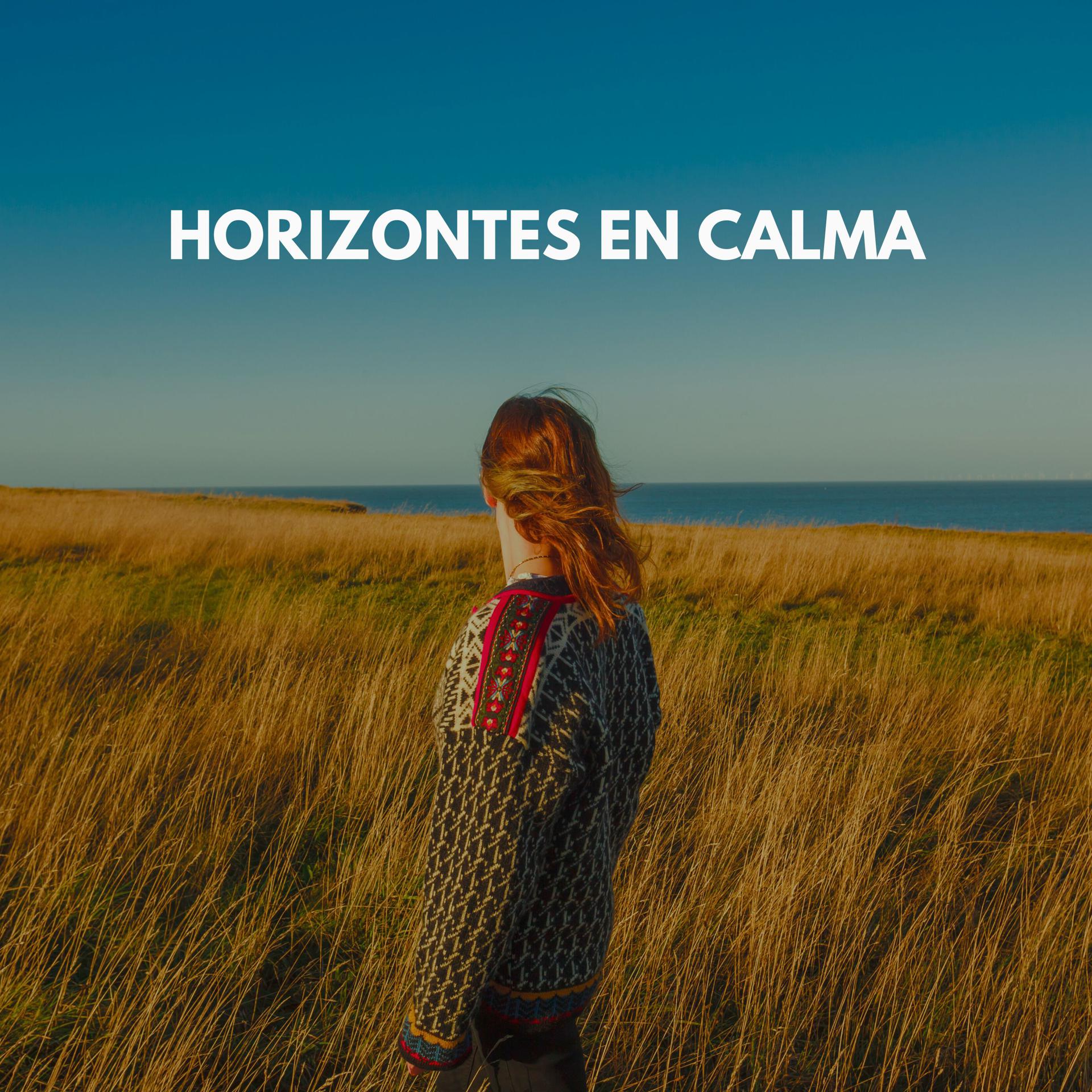 Постер альбома Horizontes en calma