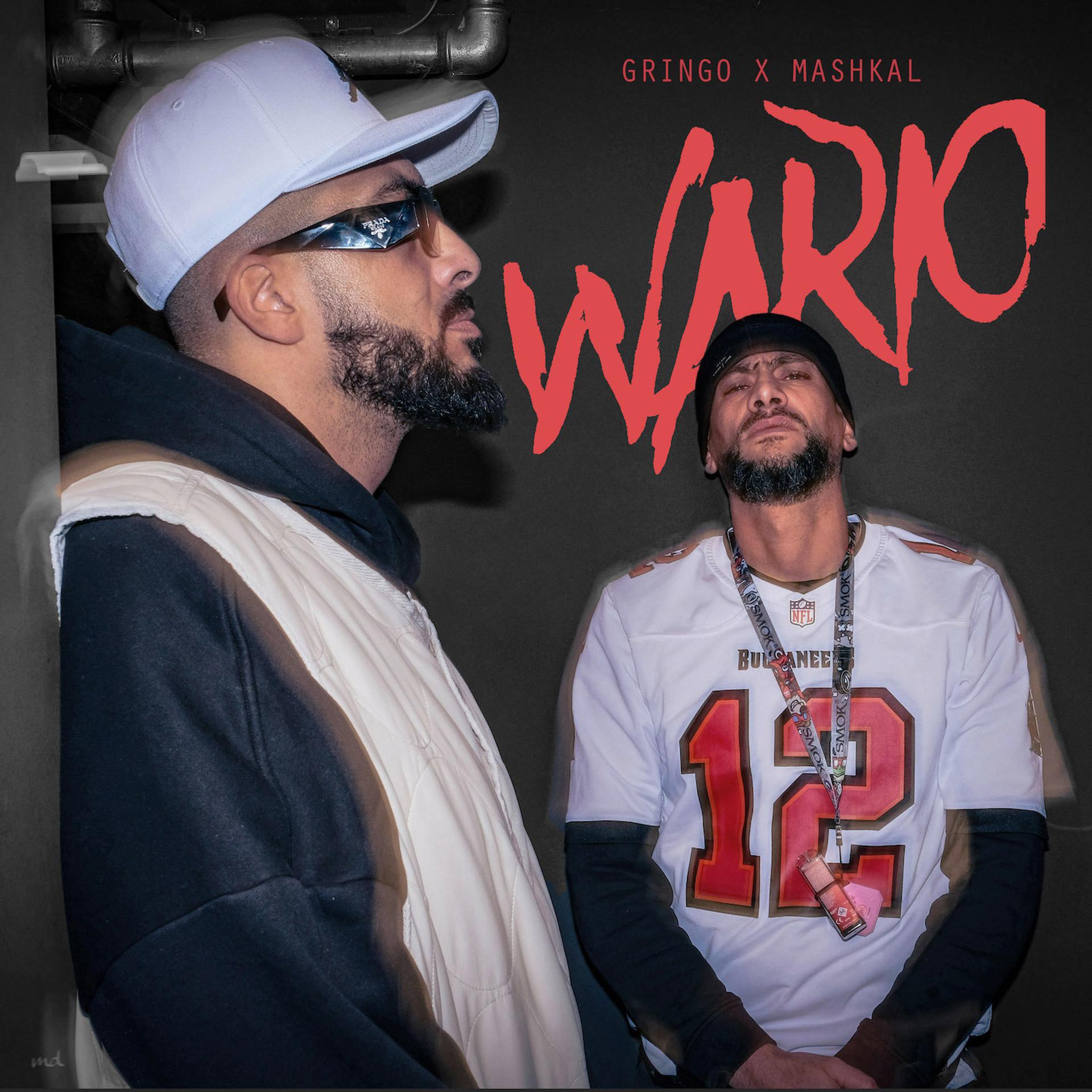Постер альбома Wario
