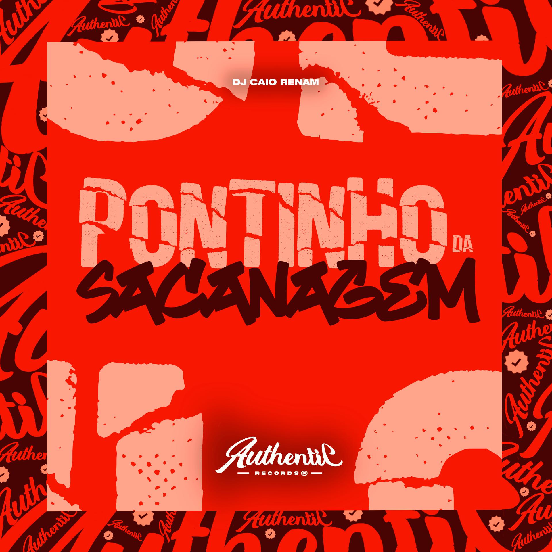 Постер альбома Pontinho da Sacanagem