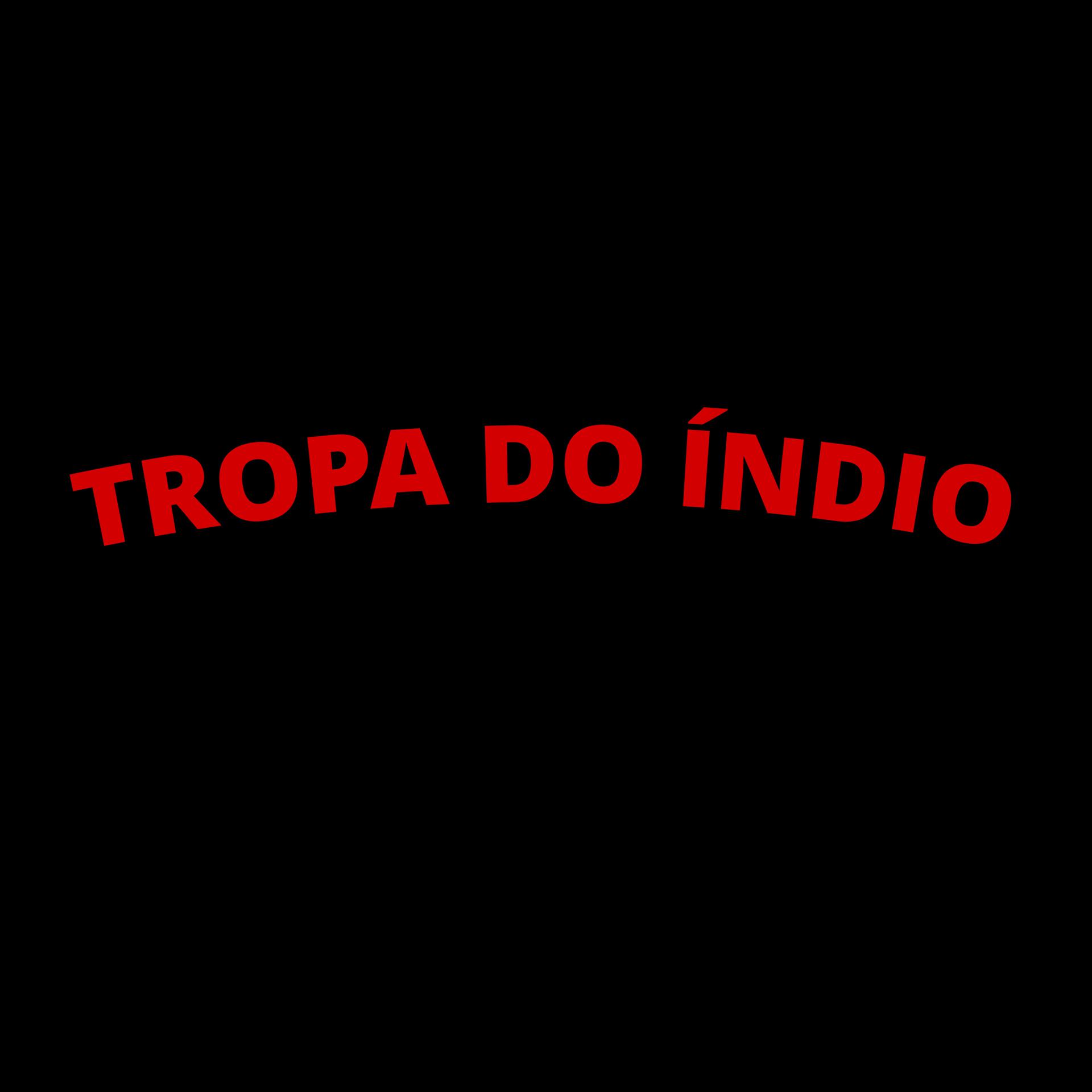 Постер альбома Tropa do Índio