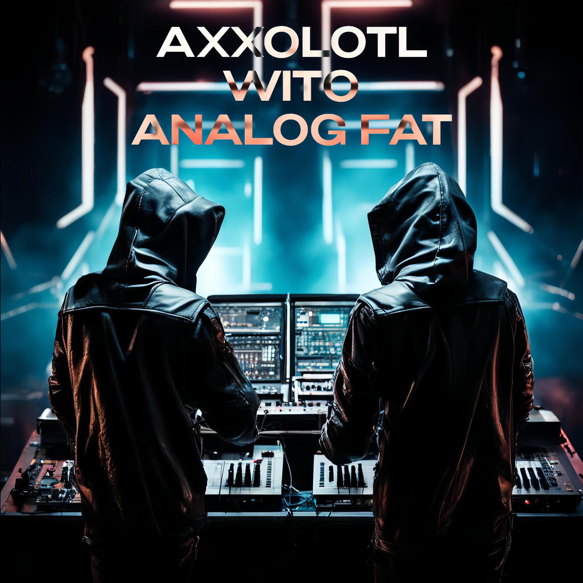 Постер альбома Analog Fat