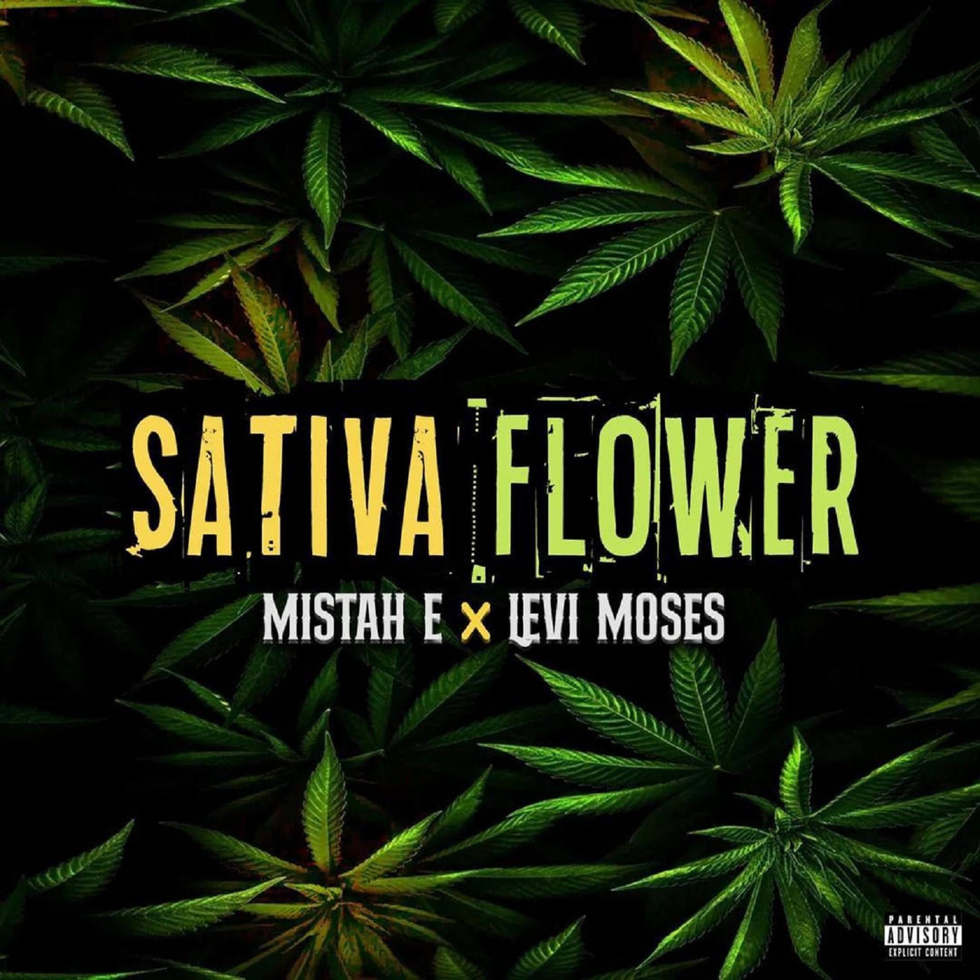 Постер альбома Sativa Flower