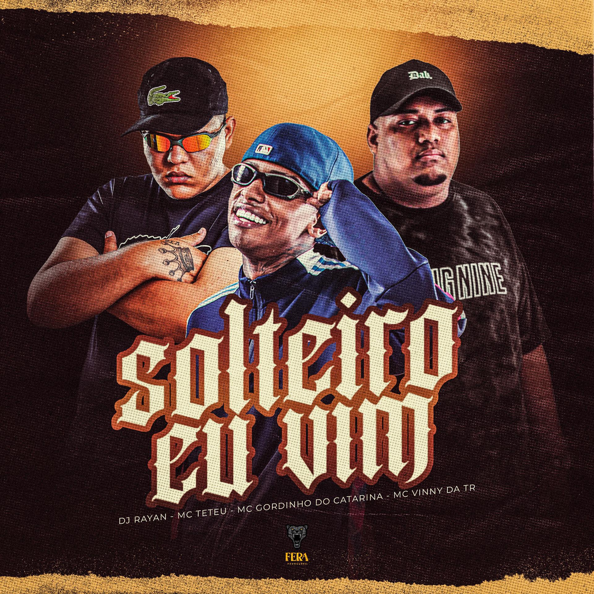 Постер альбома Solteiro Eu Vim