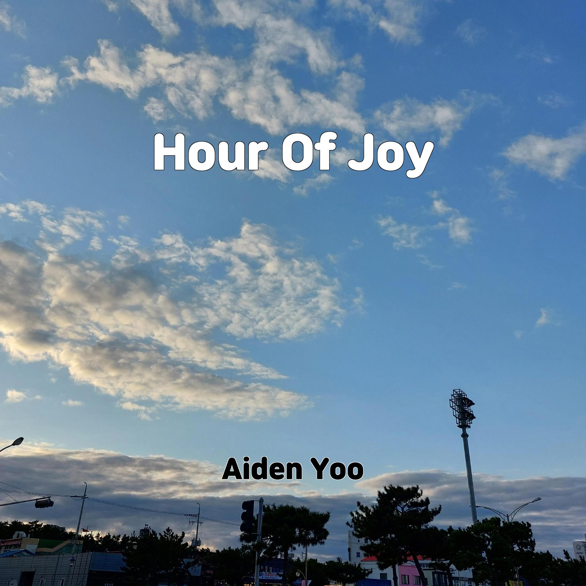 Постер альбома Hour Of Joy