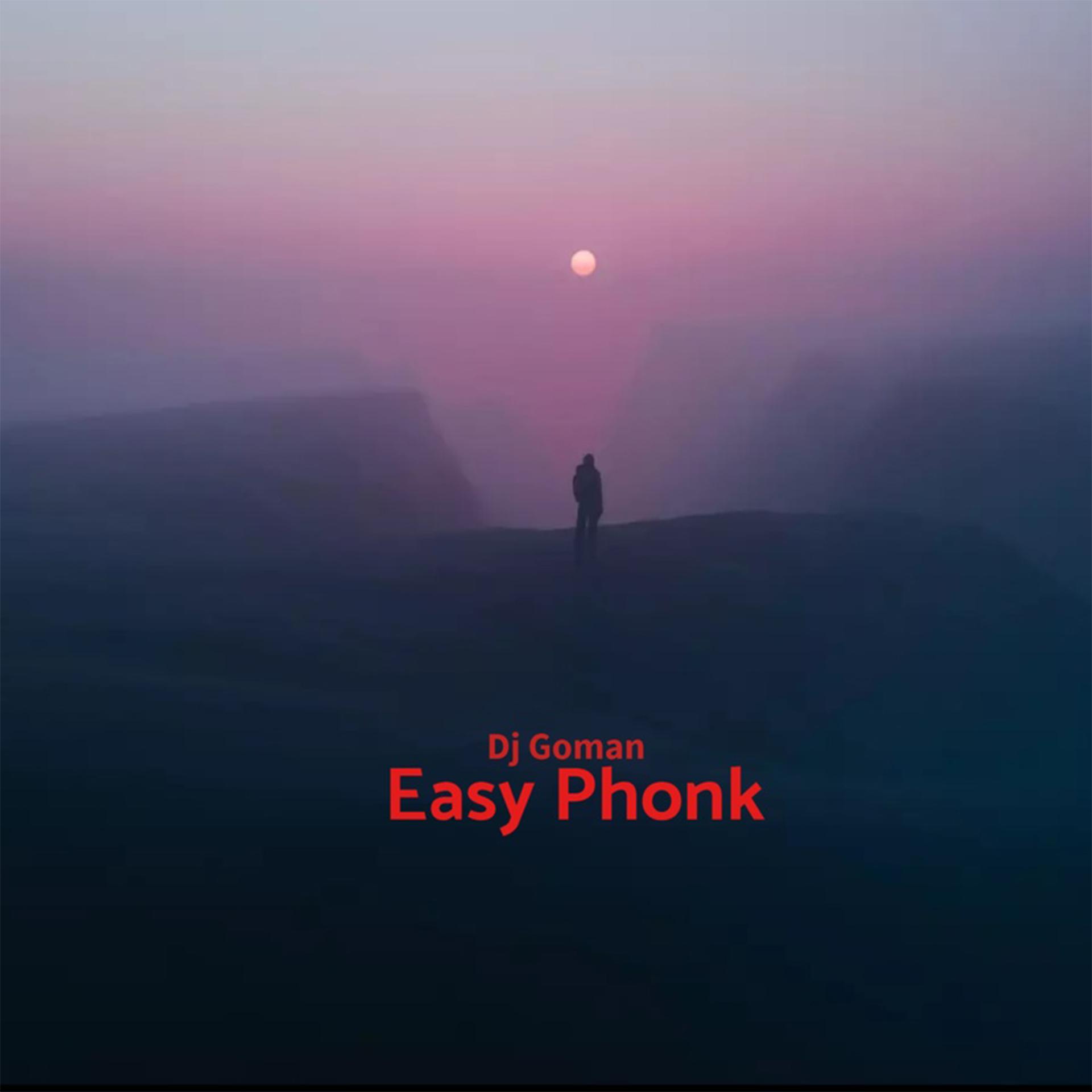 Постер альбома Easy Phonk