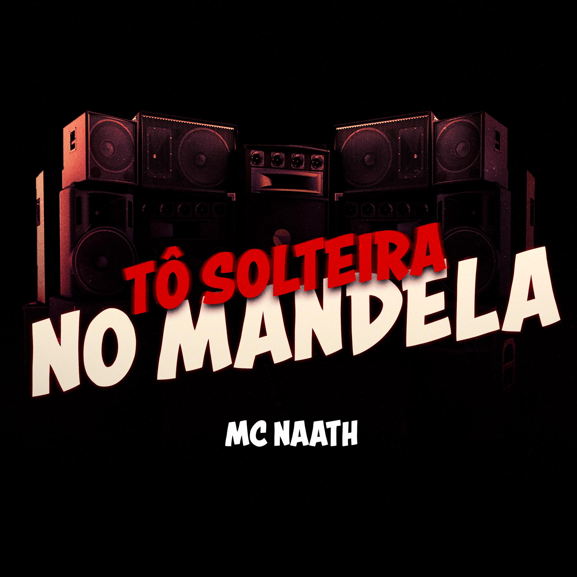 Постер альбома Tô Solteira no Mandela