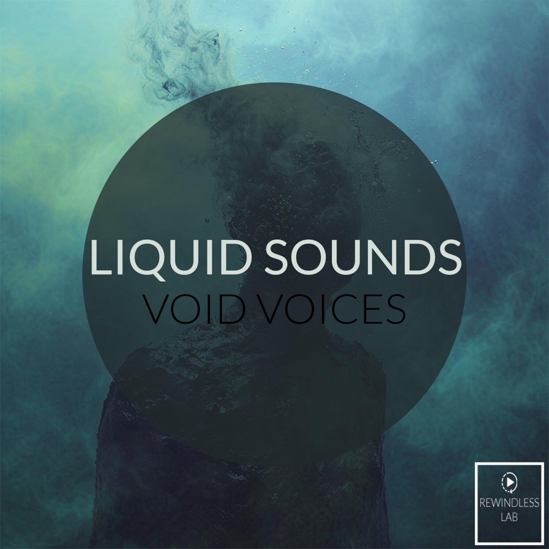 Постер альбома Void Voices