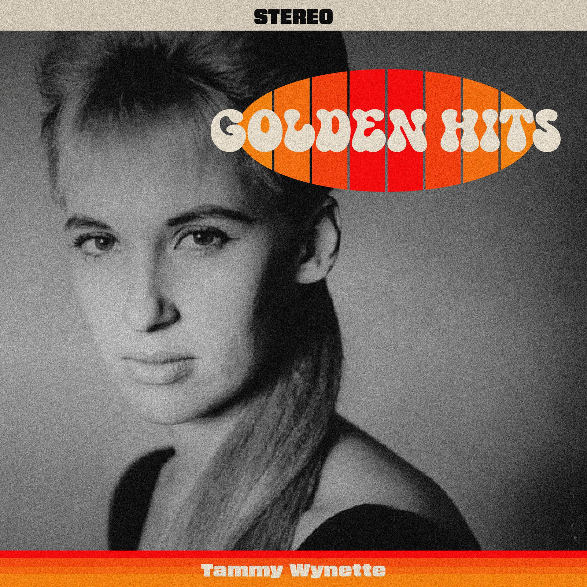 Постер альбома 24 Golden Hits