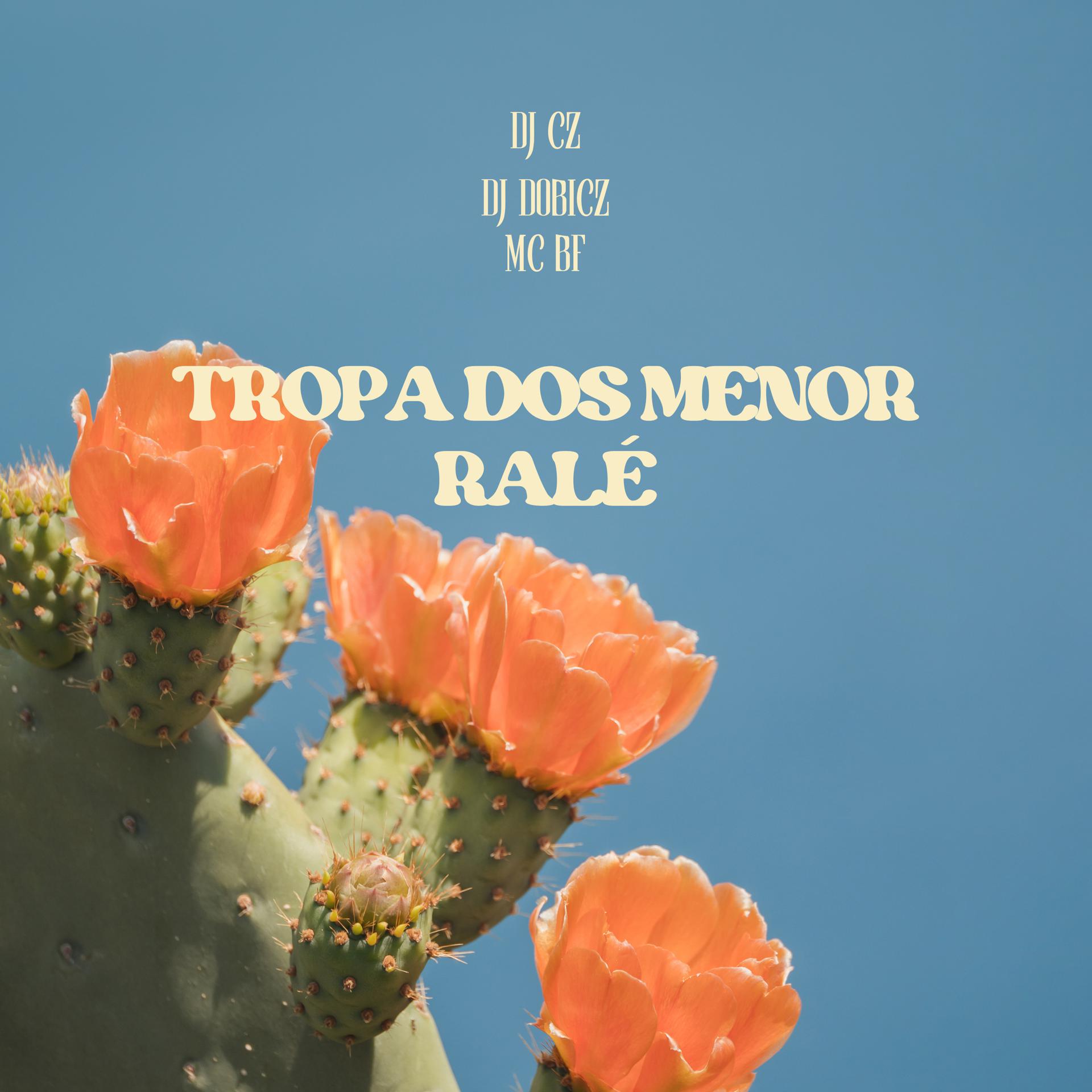 Постер альбома Tropa dos Menor Ralé