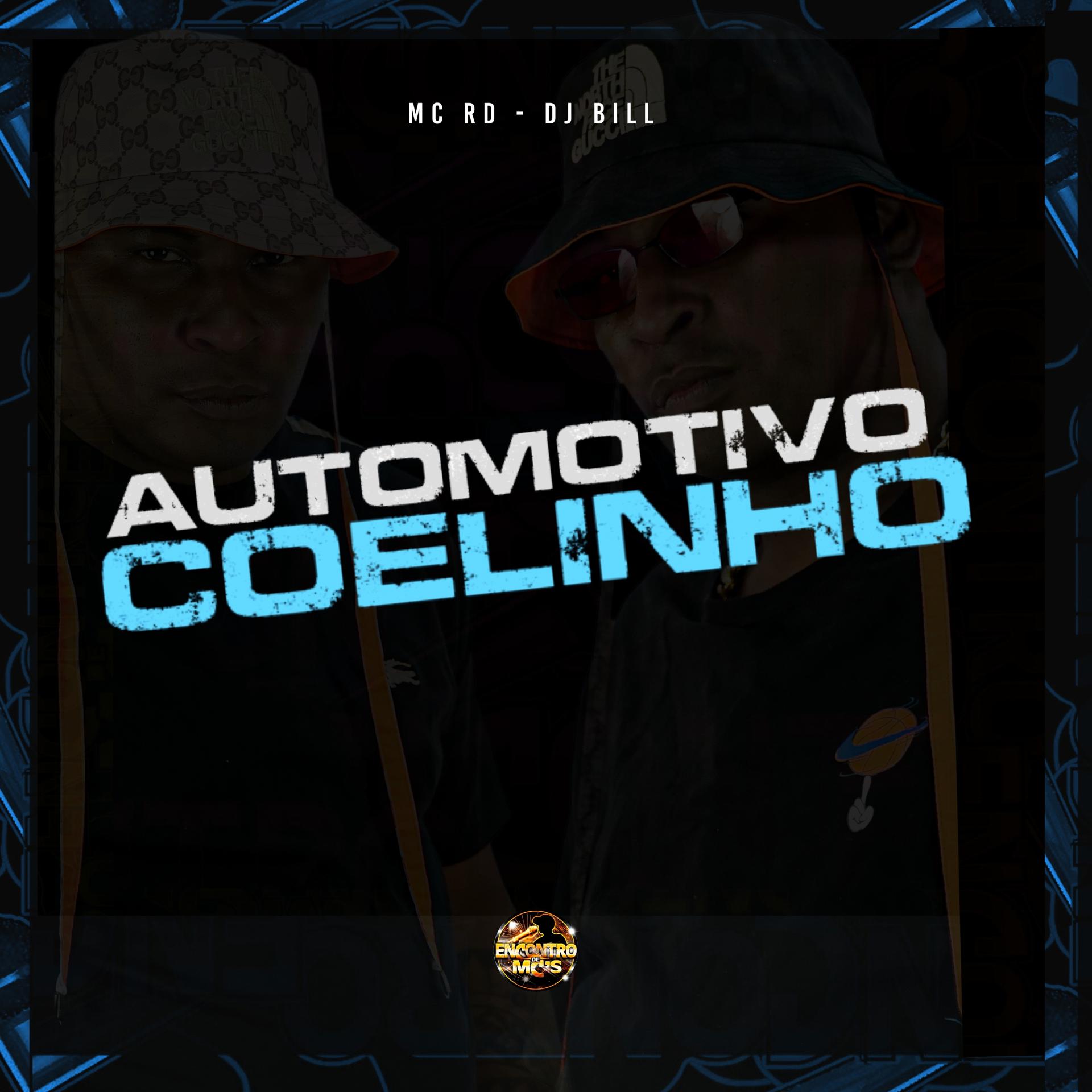 Постер альбома Automotivo Coelhinho