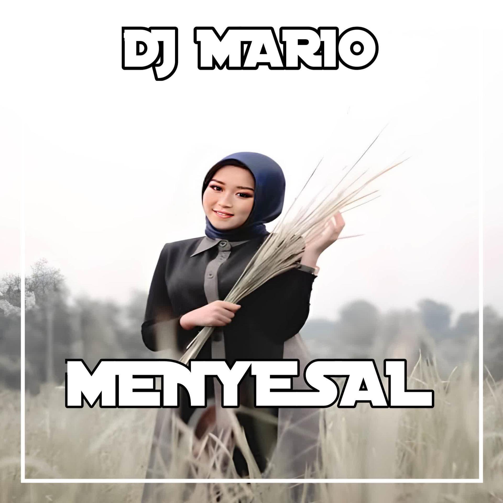Постер альбома DJ Menyesal