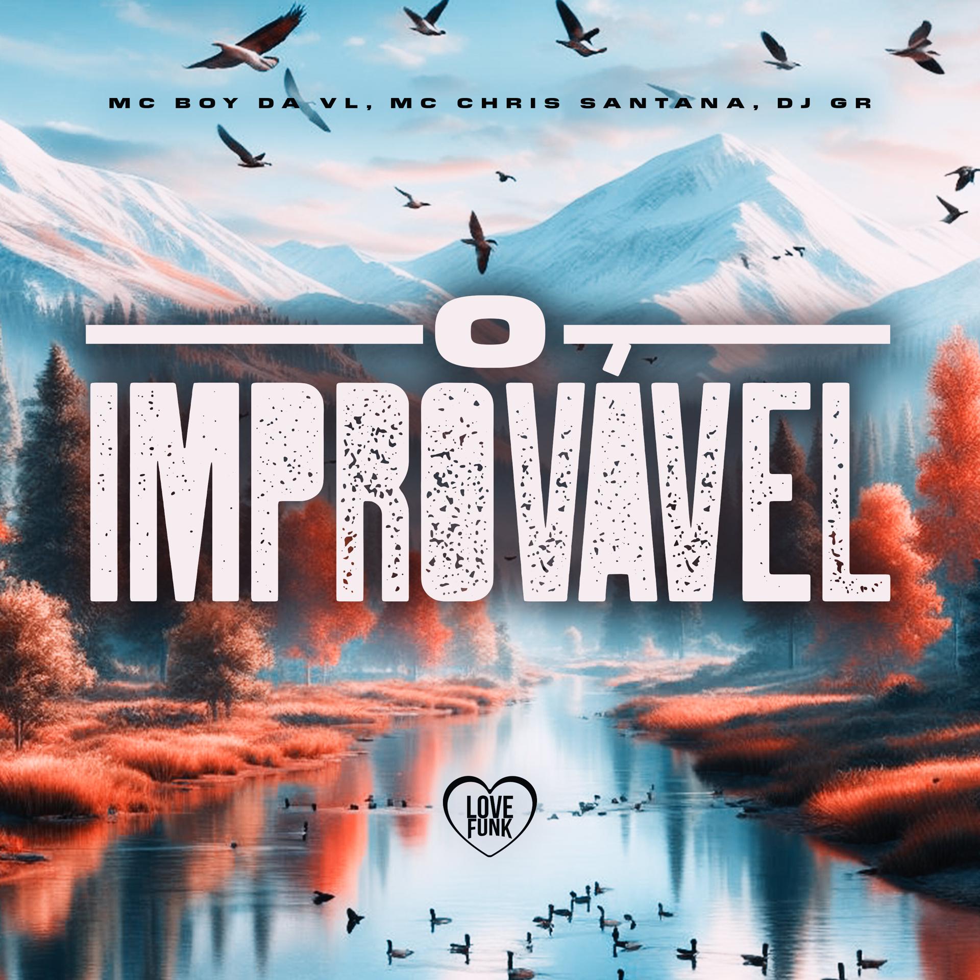 Постер альбома O Improvável