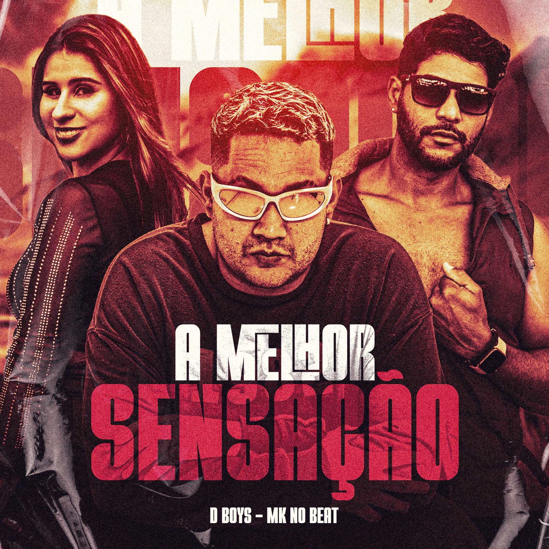 Постер альбома A Melhor Sensação