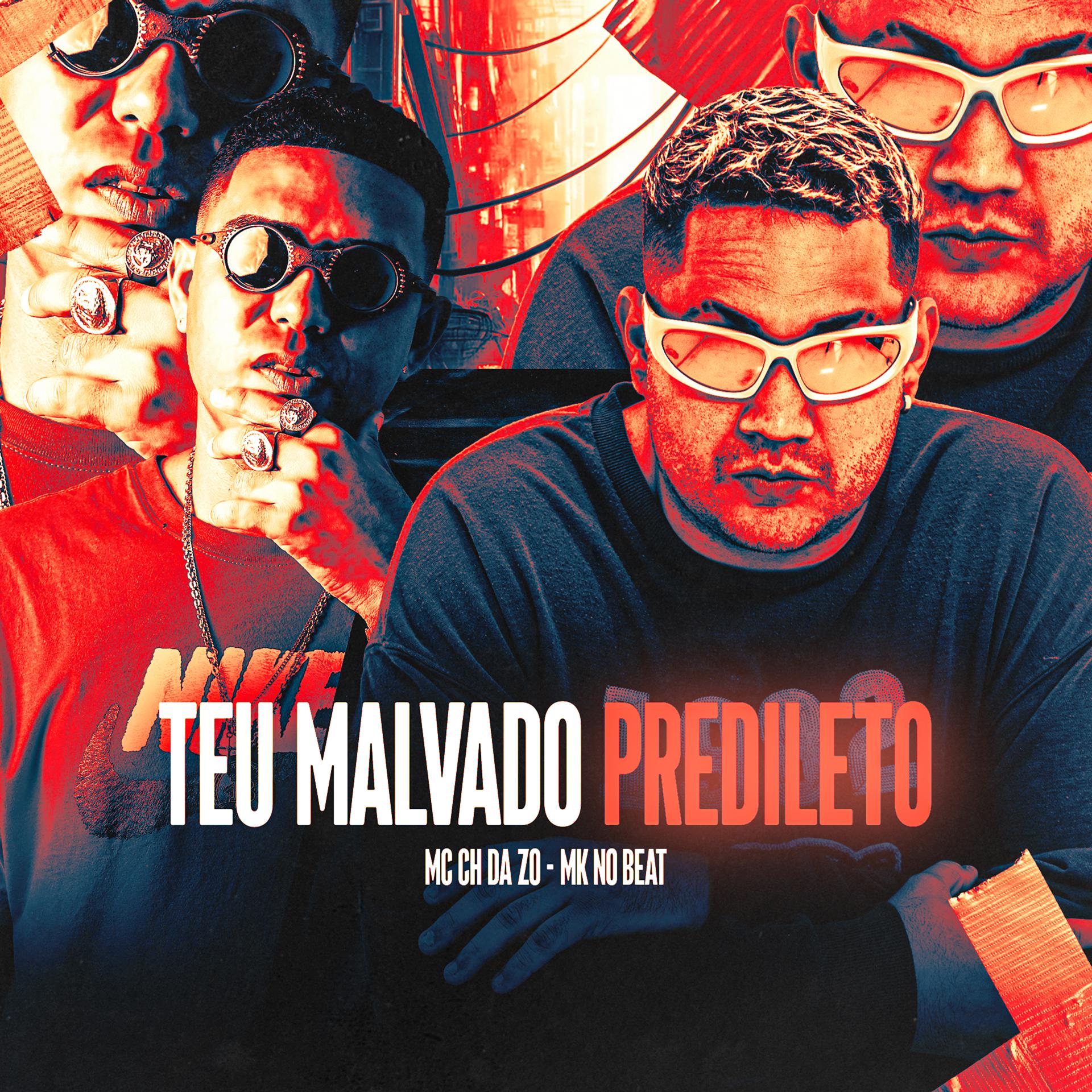 Постер альбома Teu Malvado Predileto