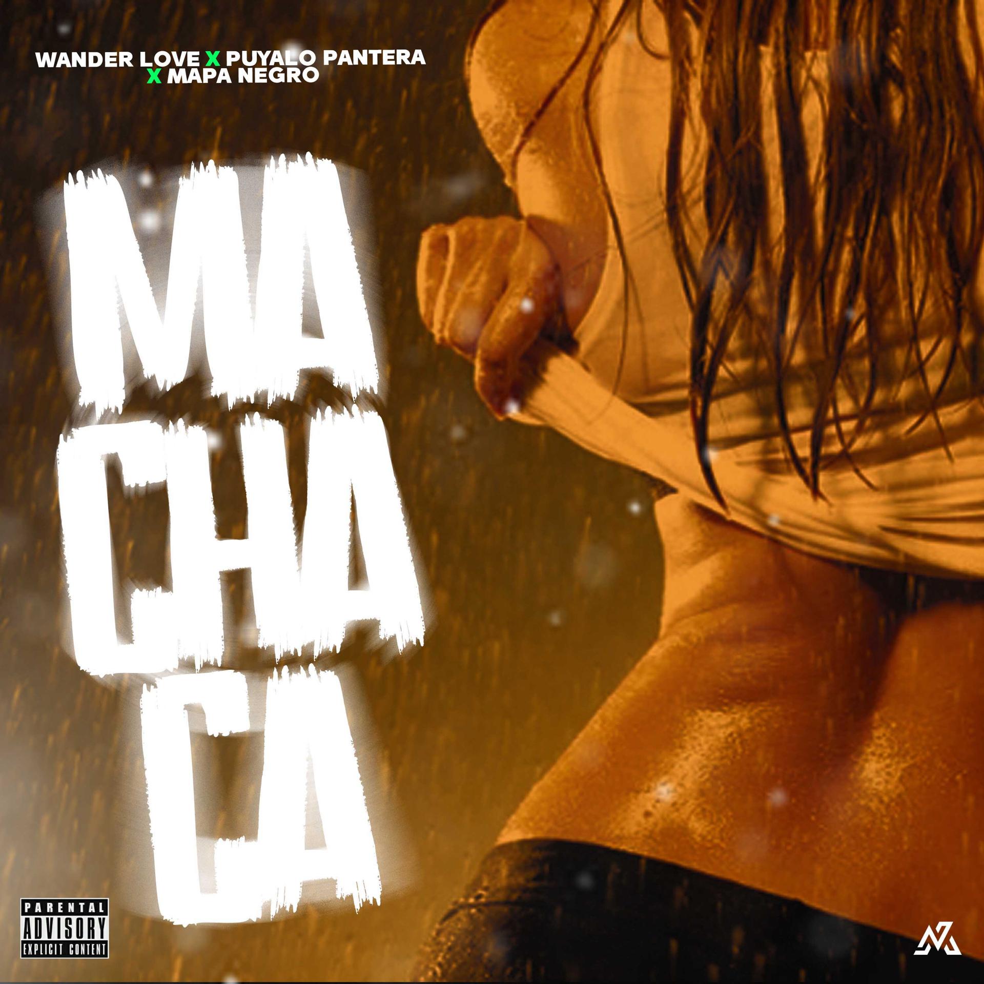 Постер альбома Machaca