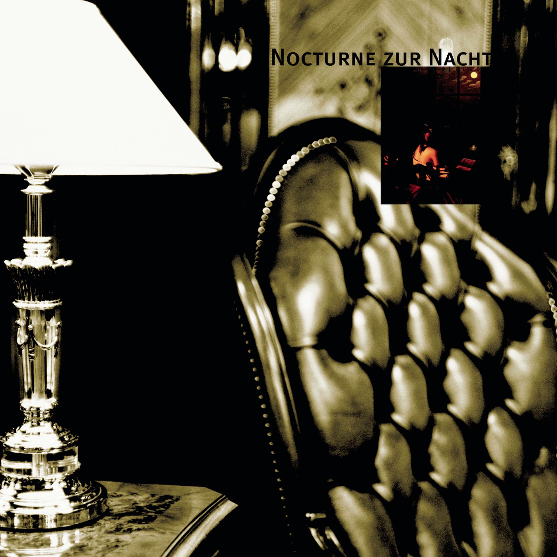 Постер альбома Nocturne zur Nacht