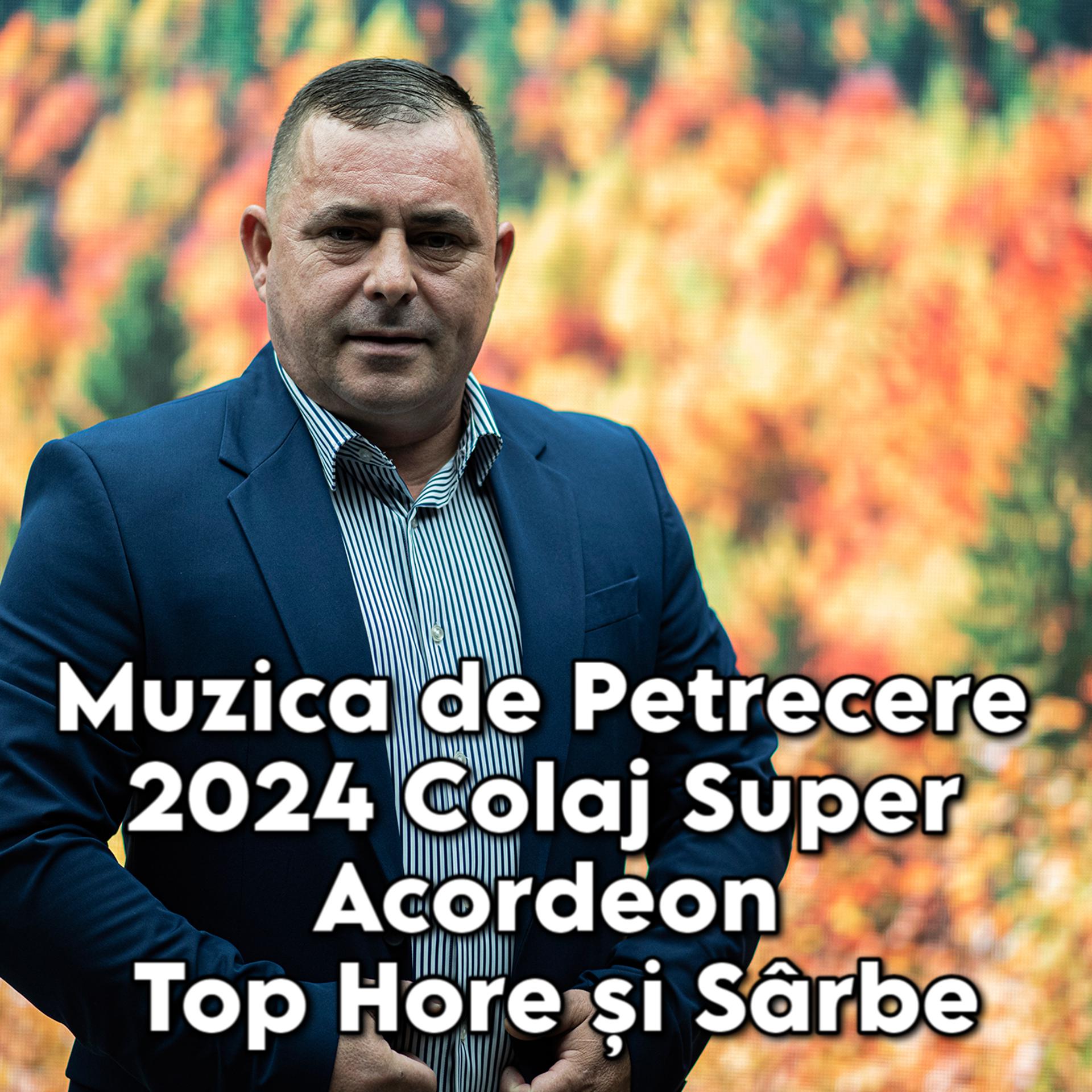 Постер альбома Muzica de Petrecere 2024 Colaj Super Acordeon Top Hore și Sârbe