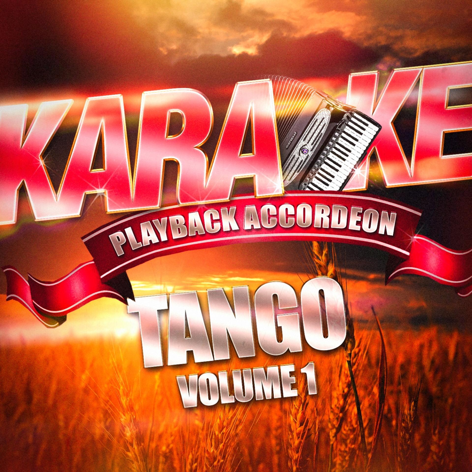 Постер альбома Karaoké Playback Accordéon : Tango, Vol. 1