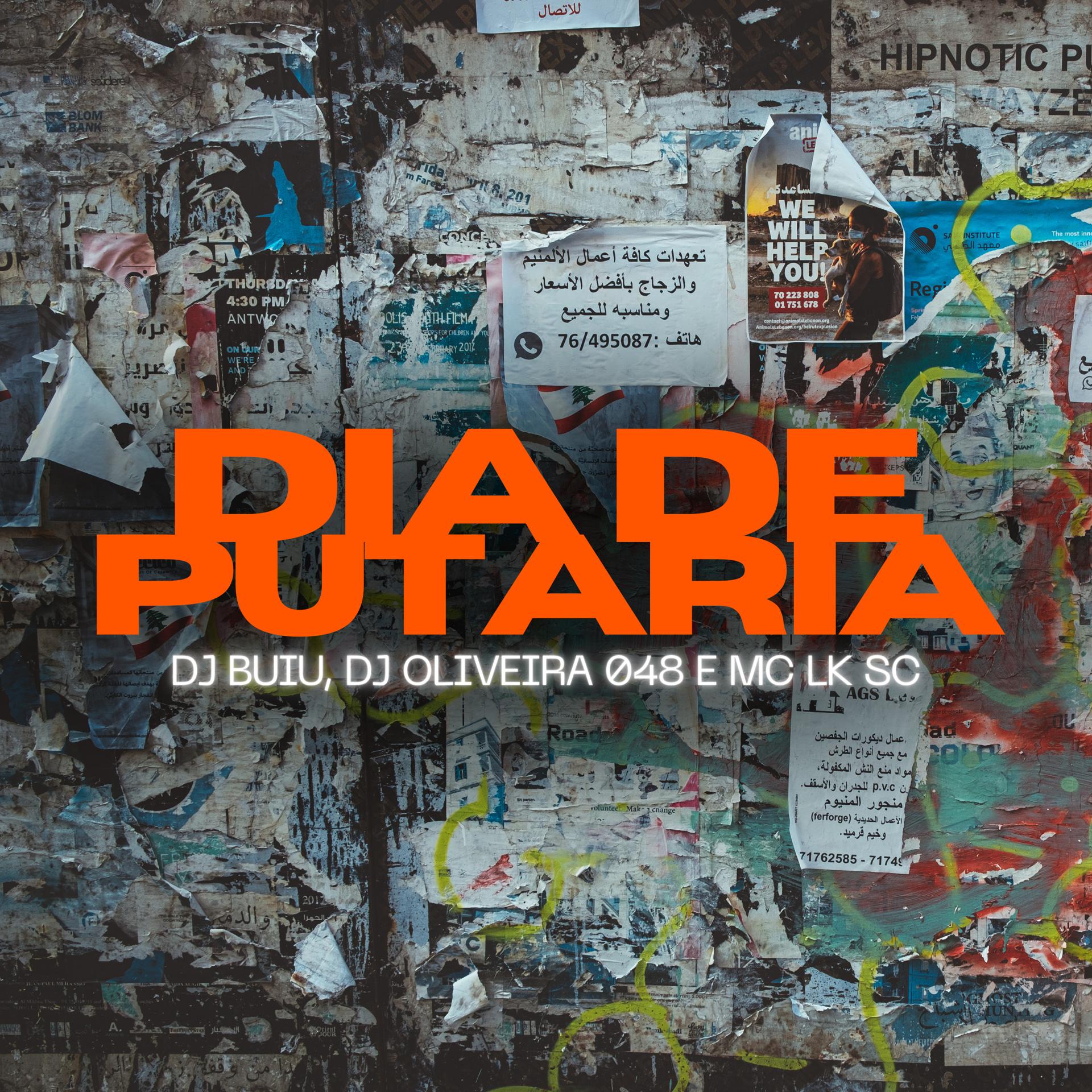 Постер альбома Dia de Putaria