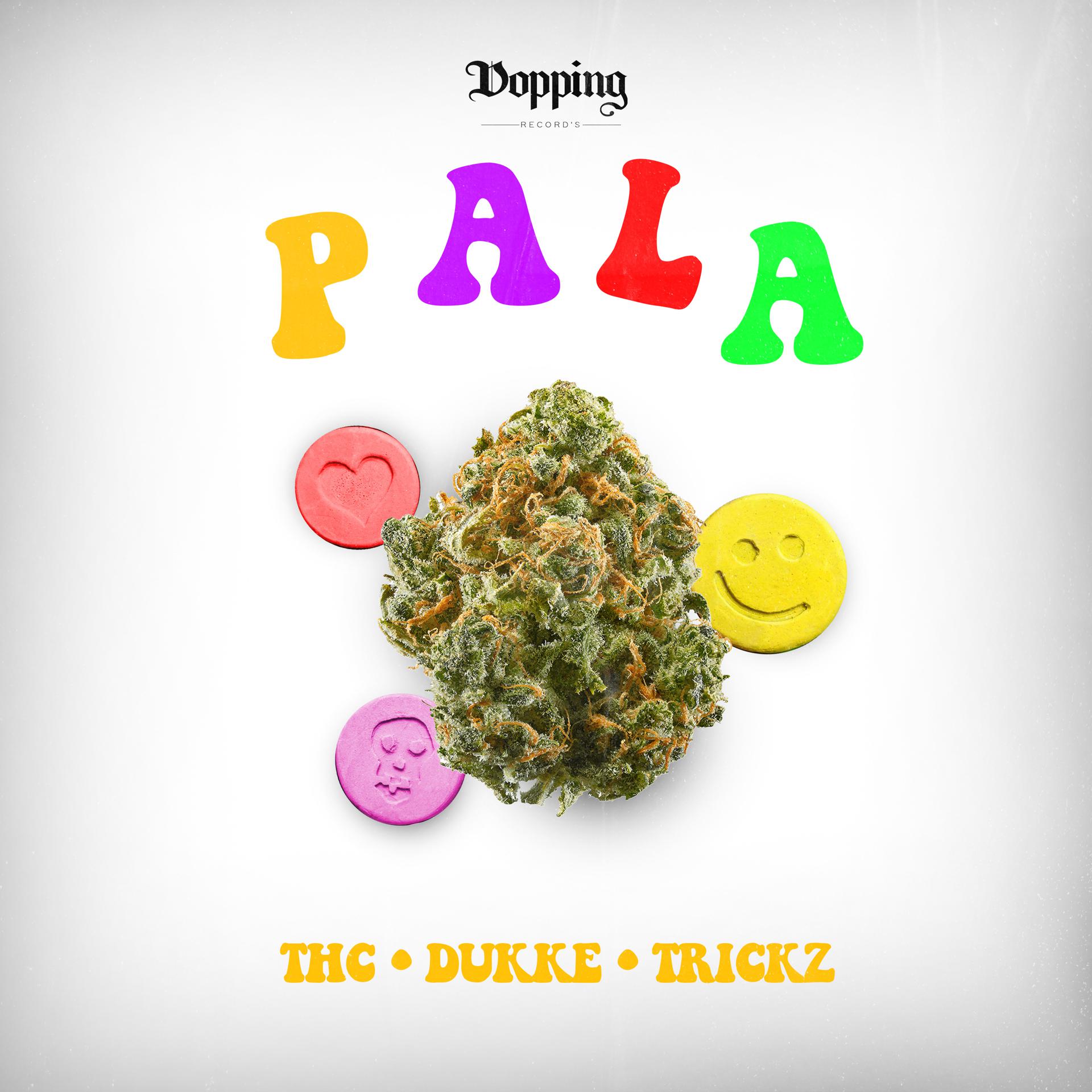 Постер альбома Pala