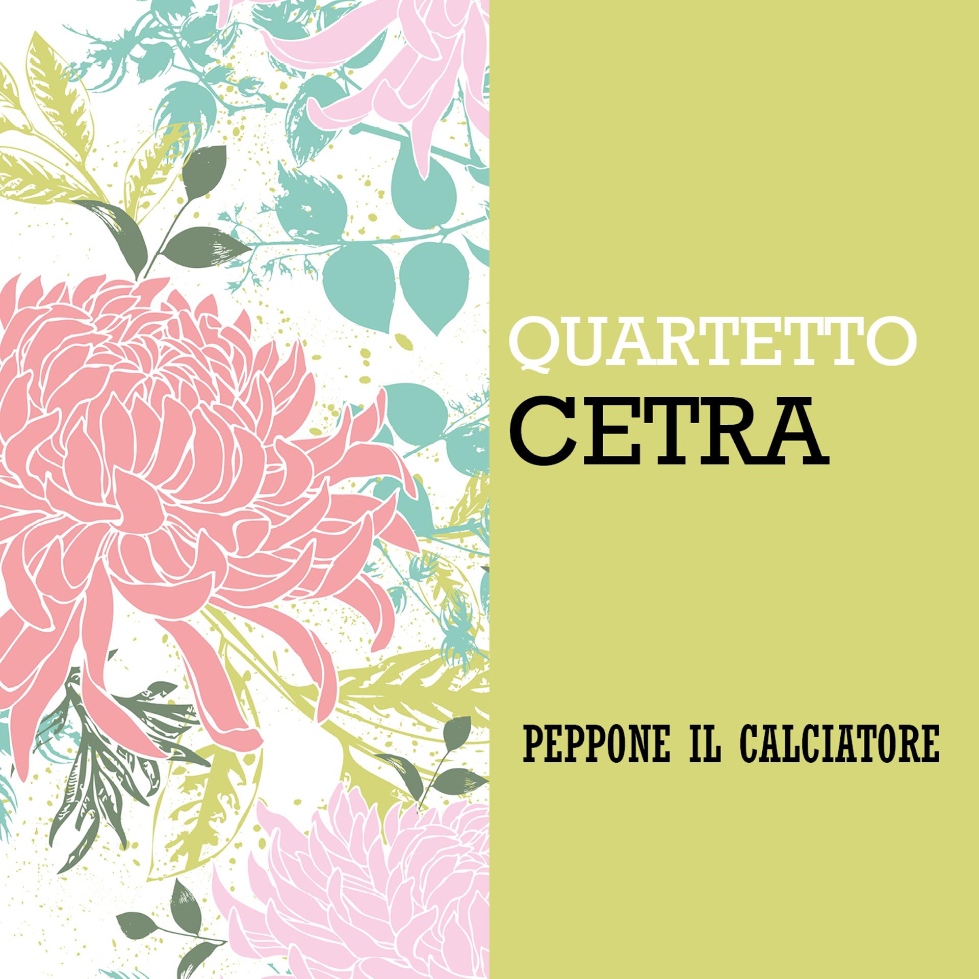 Постер альбома Peppone il Calciatore