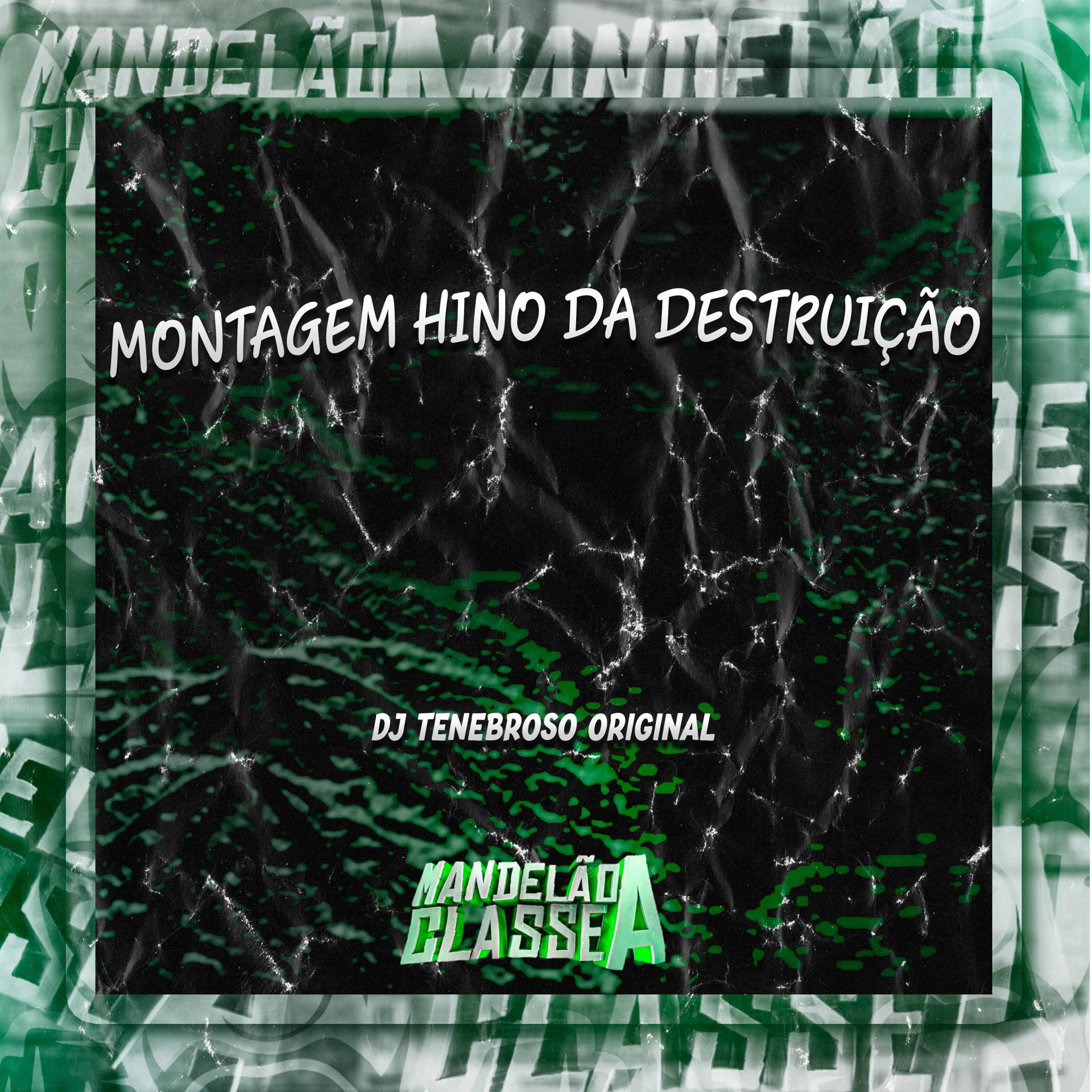 Постер альбома Montagem Hino da Destruição