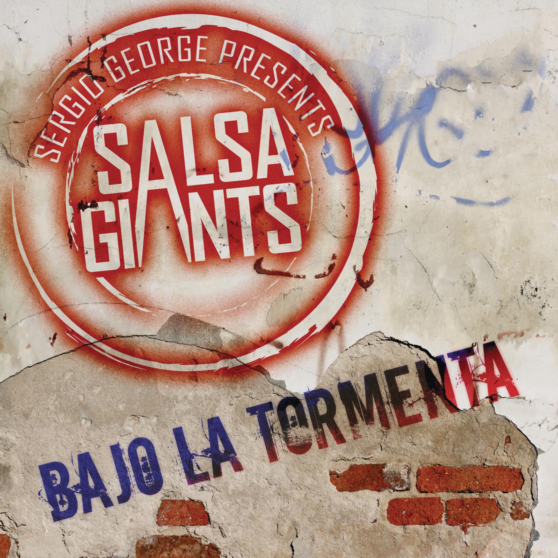 Постер альбома Bajo la Tormenta