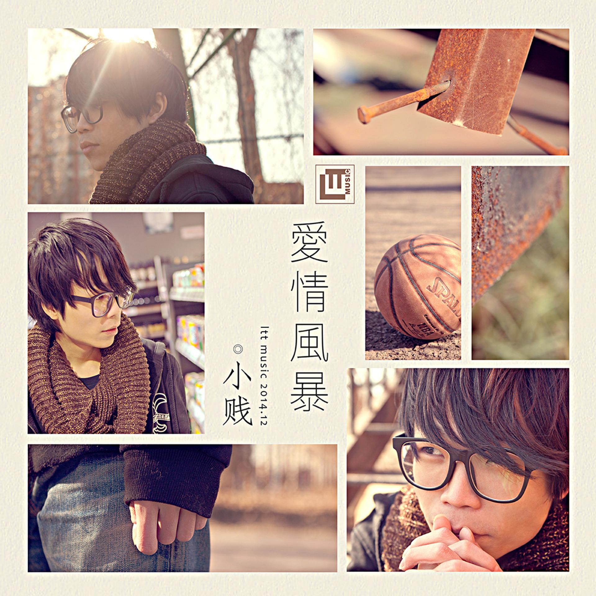 Постер альбома 爱情风暴
