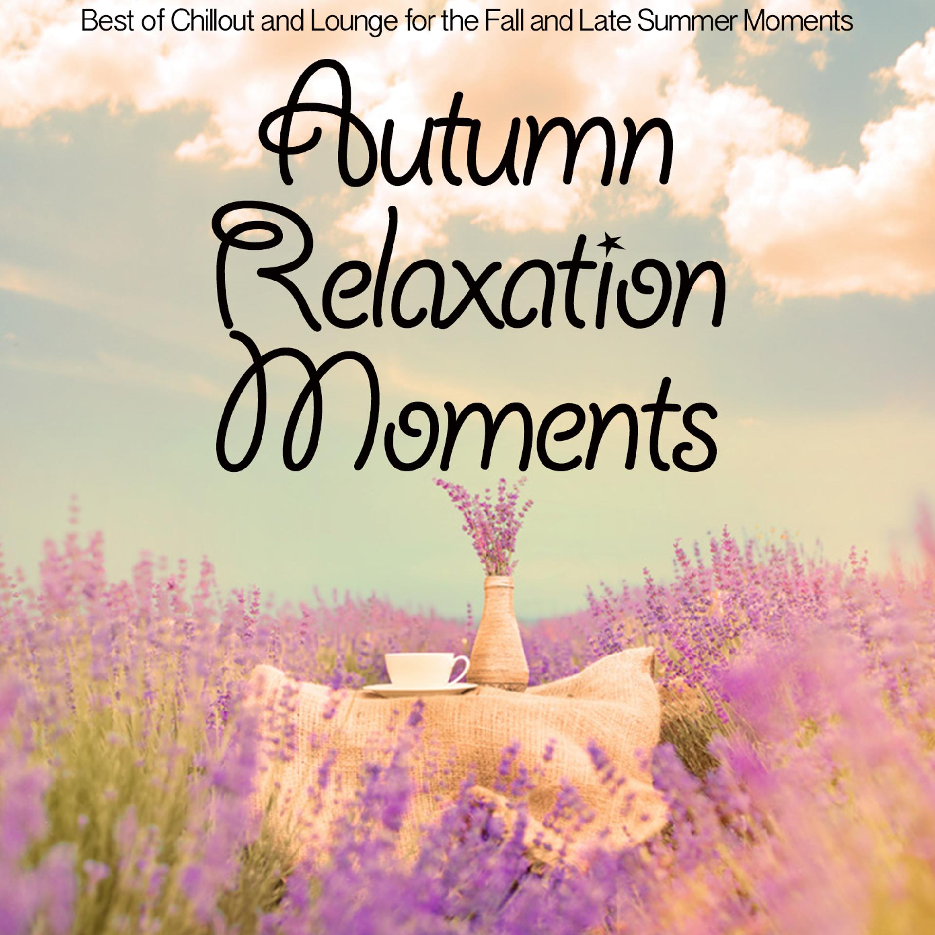 Постер альбома Autumn Relaxation Moments