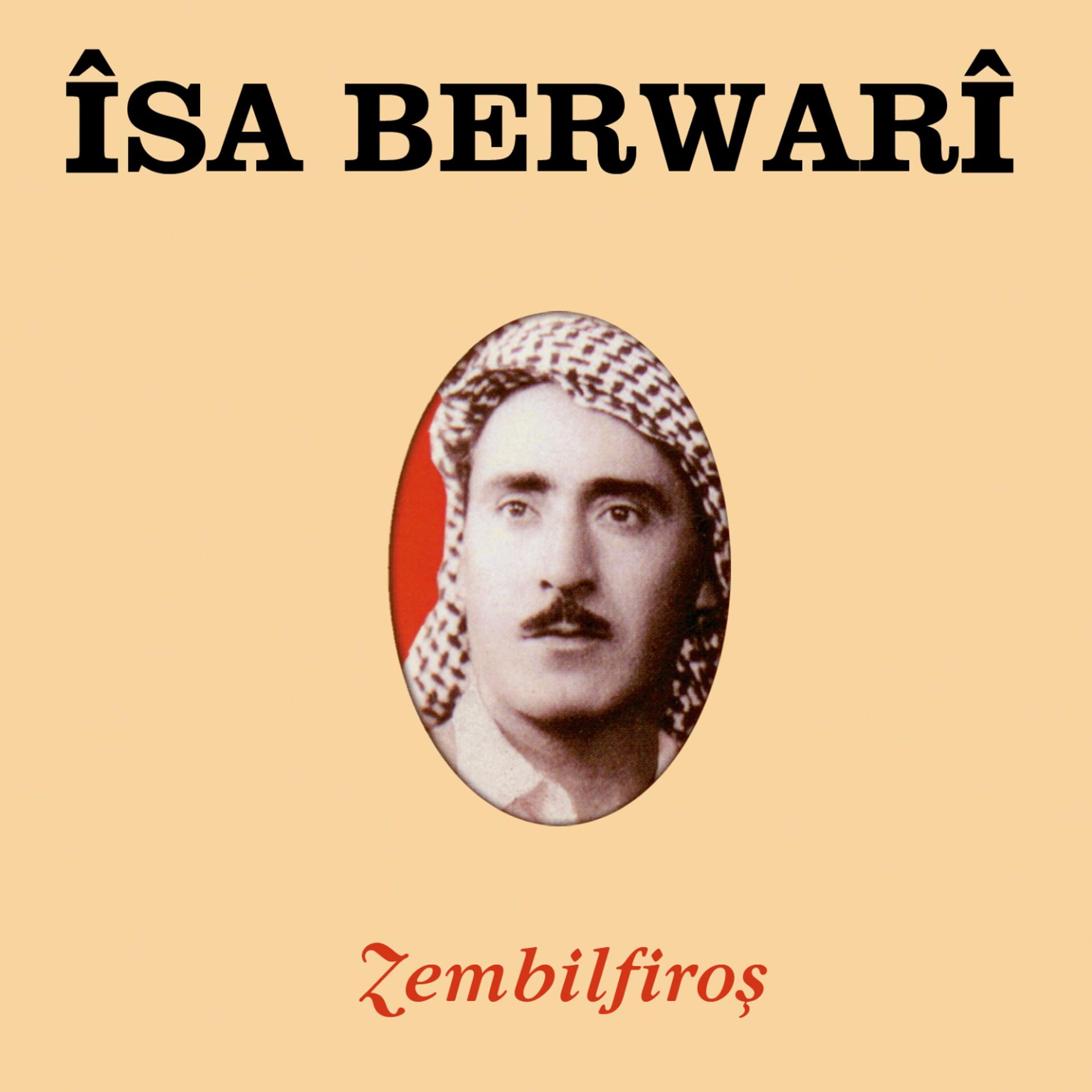 Постер альбома Zembilfiroş