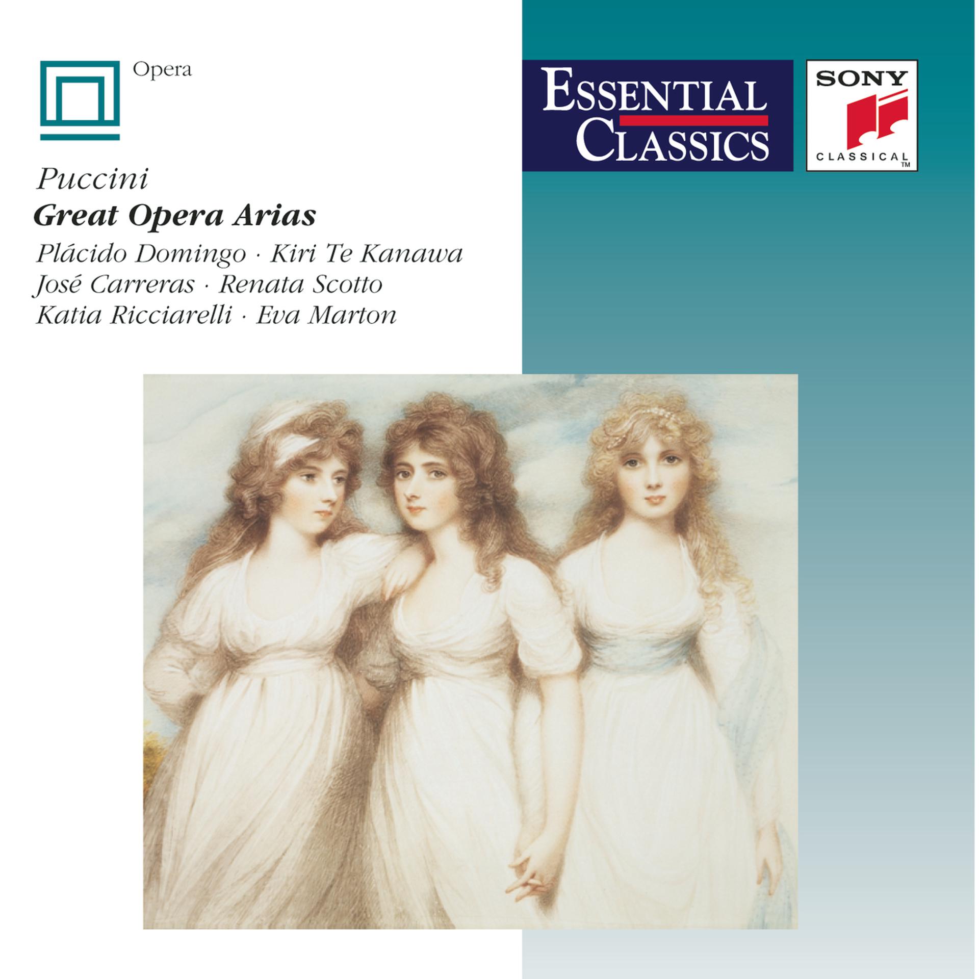 Постер альбома Puccini: Great Opera Arias