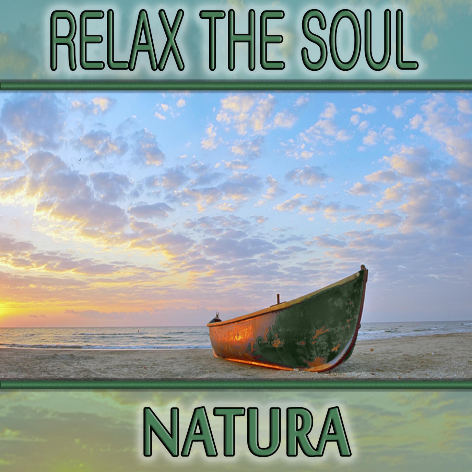 Постер альбома Relax the Soul: Natura