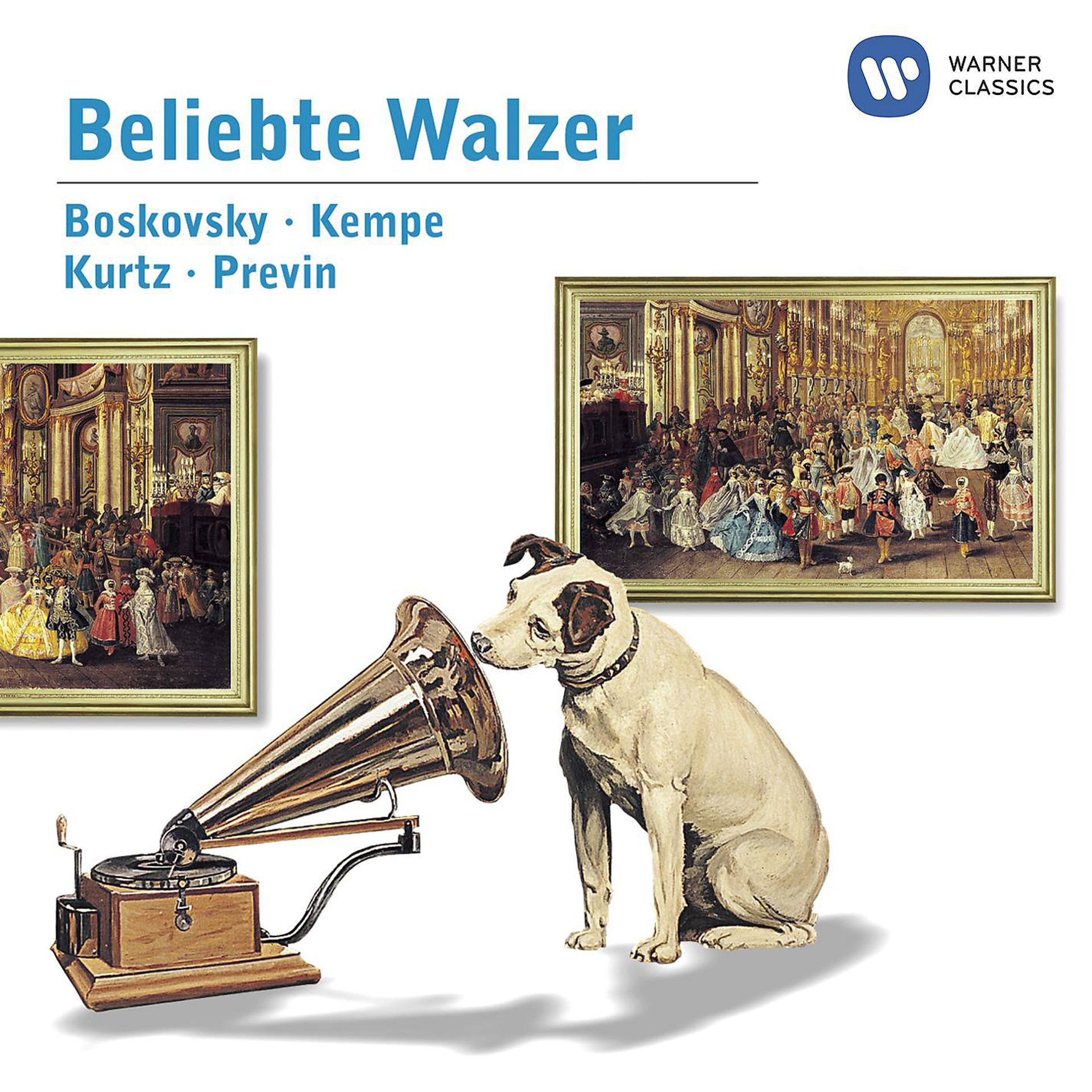 Постер альбома Beruehmte Walzer