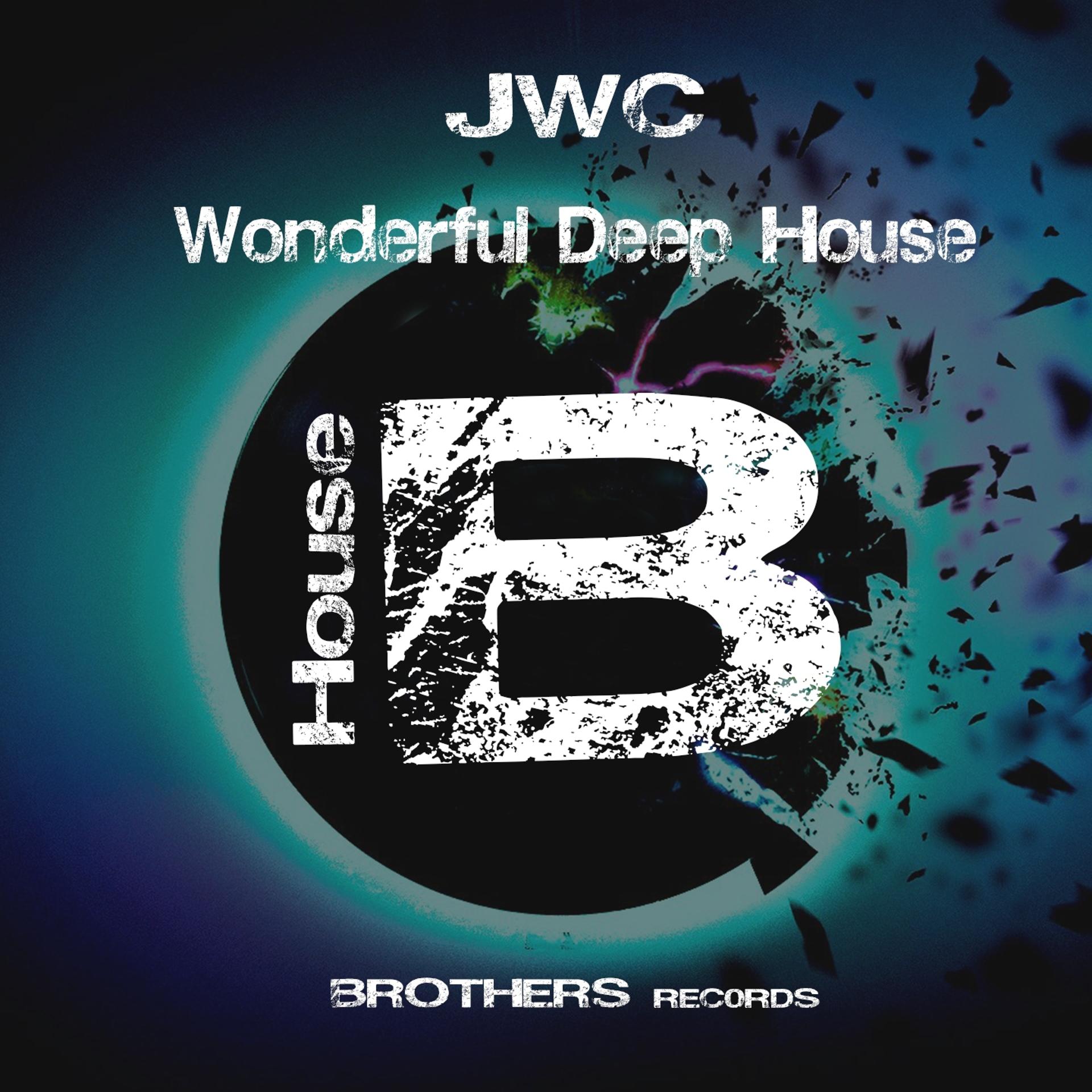 Постер альбома Wonderful Deep House