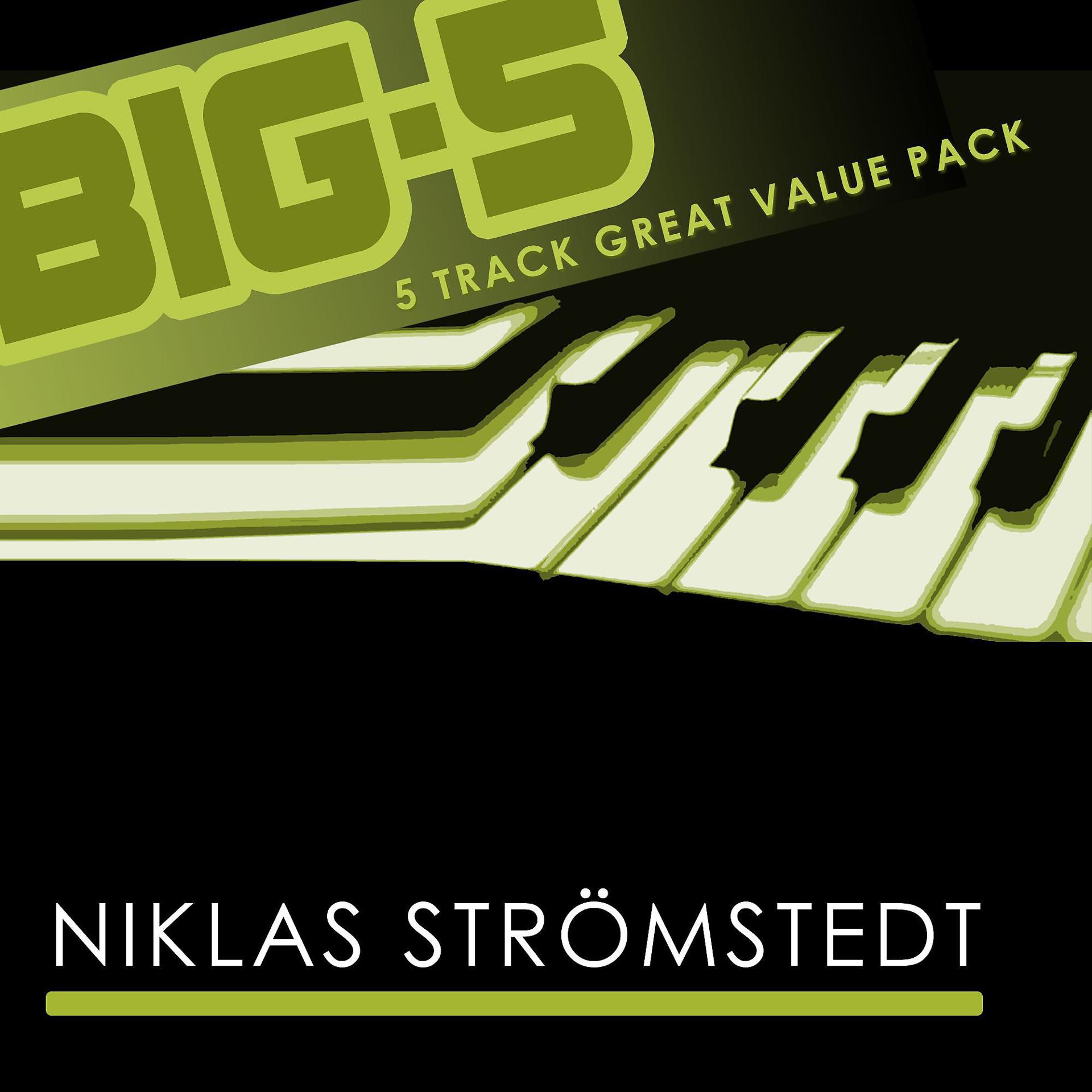 Постер альбома Big-5 : Niklas Strömstedt