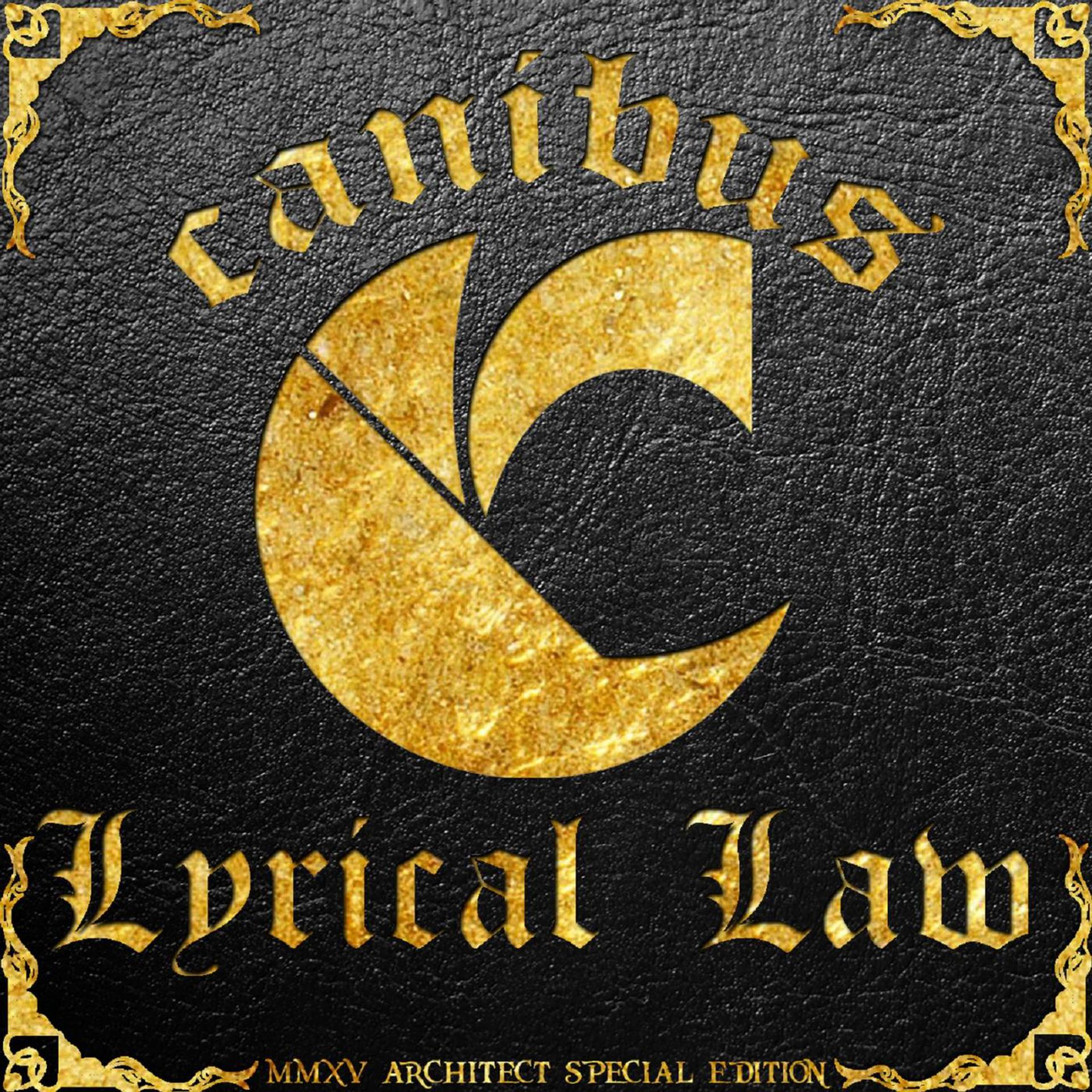 Постер альбома Lyrical Law (Special Edition)