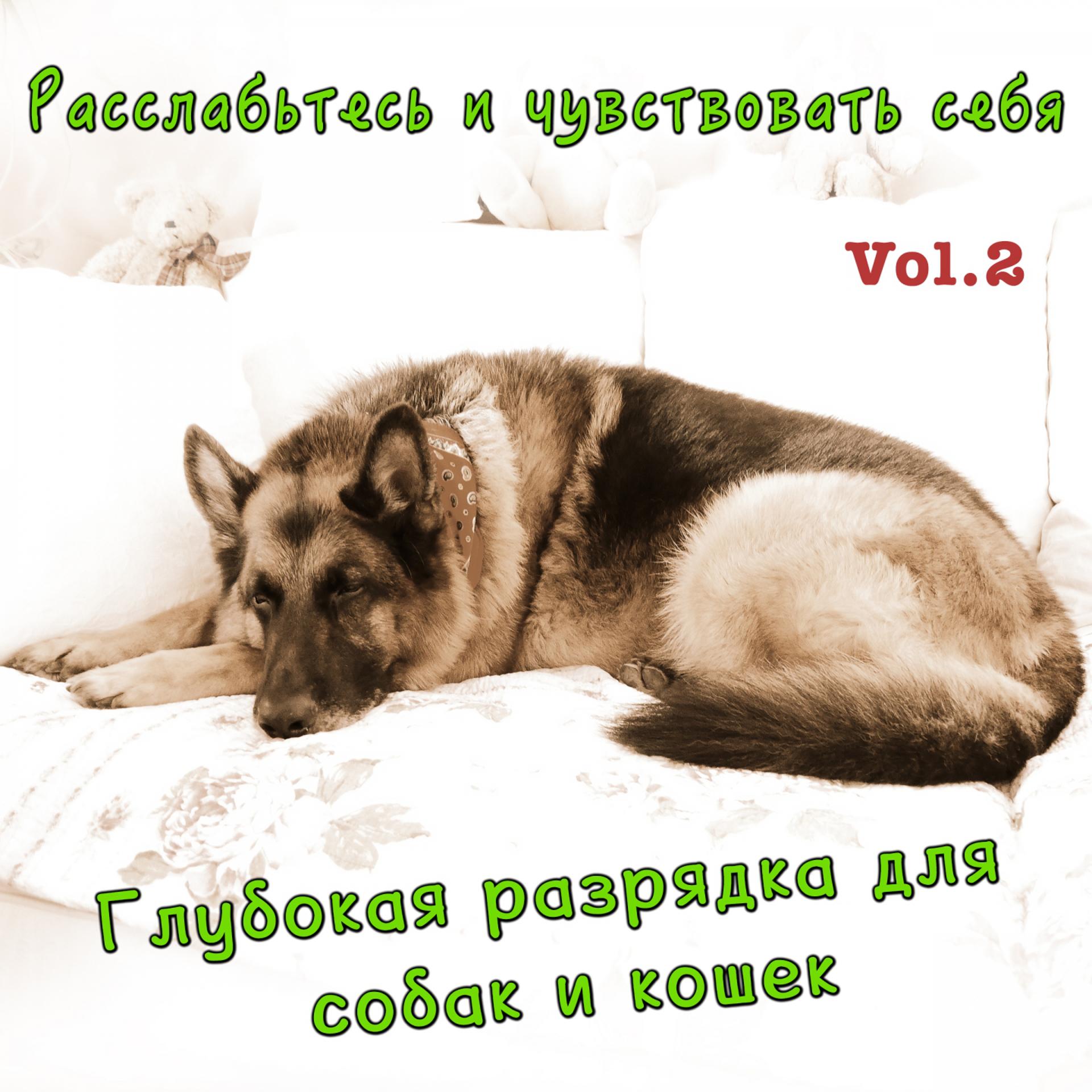 Постер альбома Расслабьтесь и чувствовать себя, Vol. 2 (Глубокая разрядка для собак и кошек)