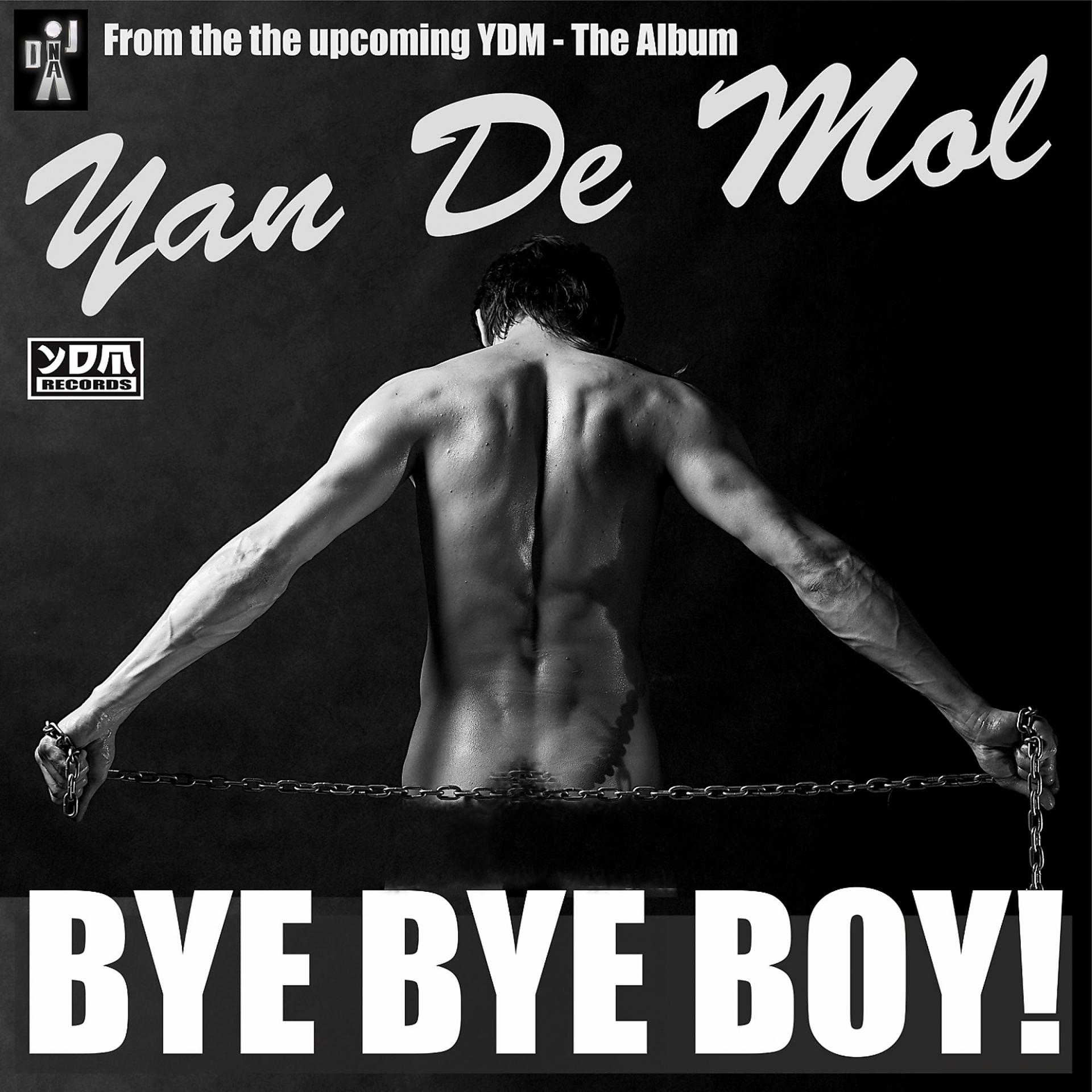 Постер альбома Bye Bye Boy