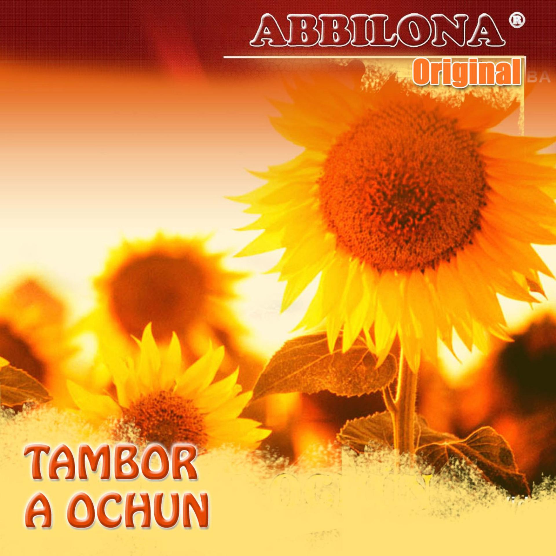 Постер альбома Abbilona Original Tambor a Ochun