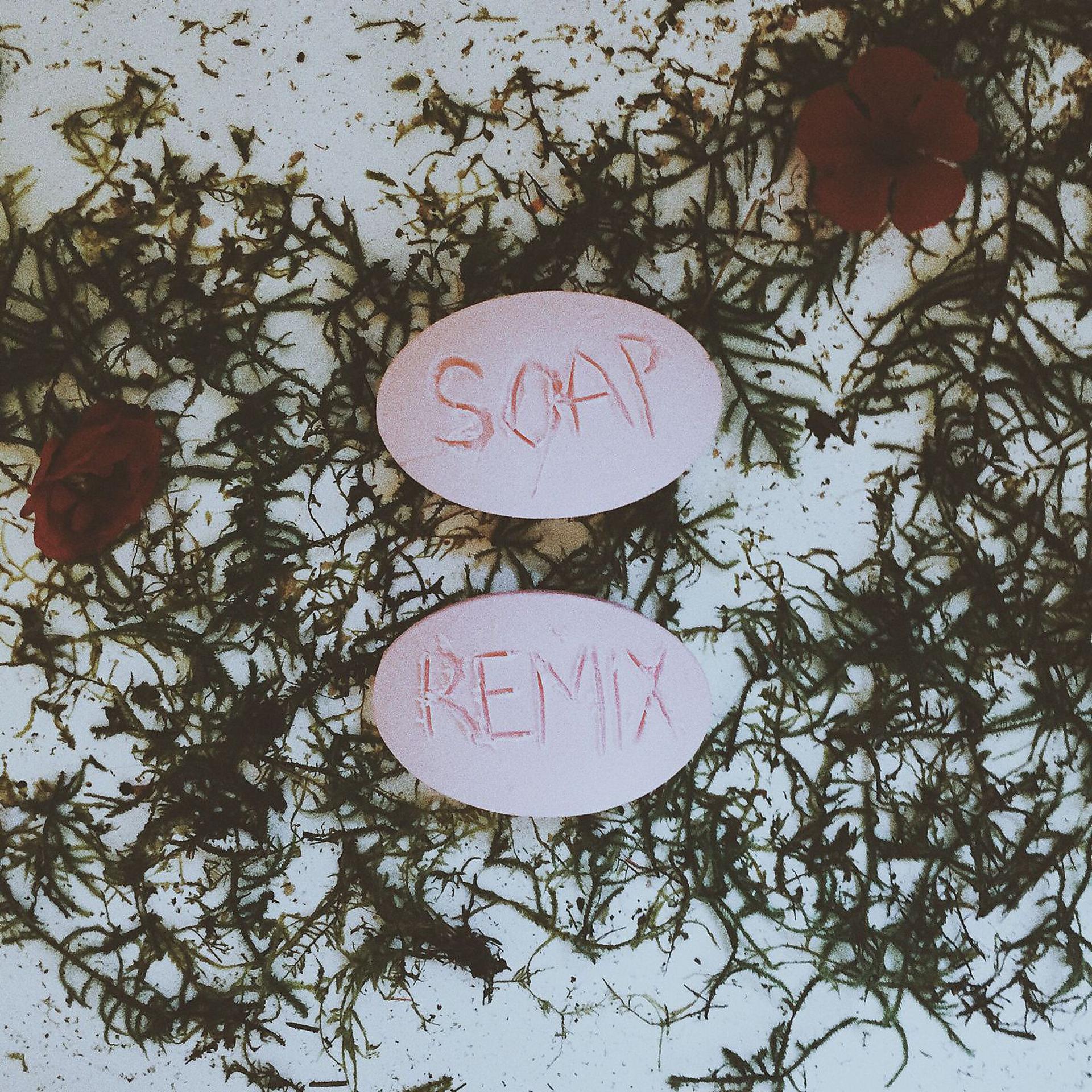 Постер альбома Soap (Remixes)