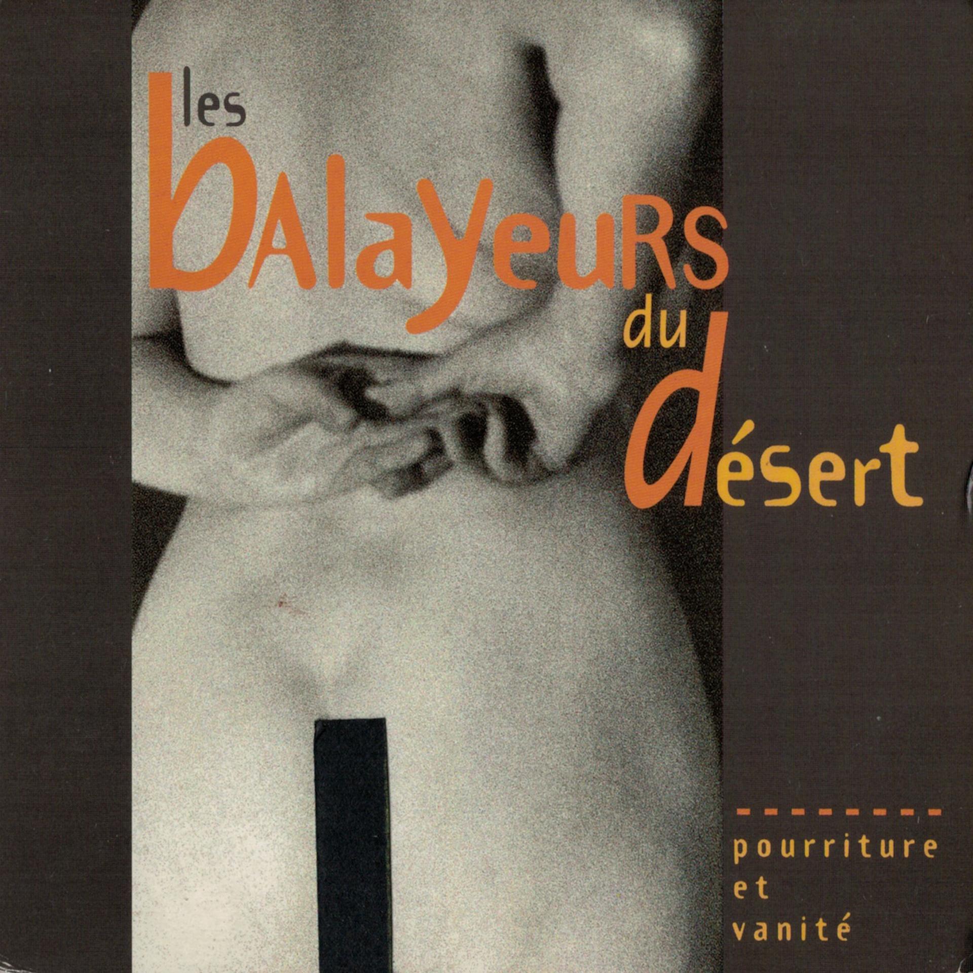 Постер альбома Pourriture et vanité