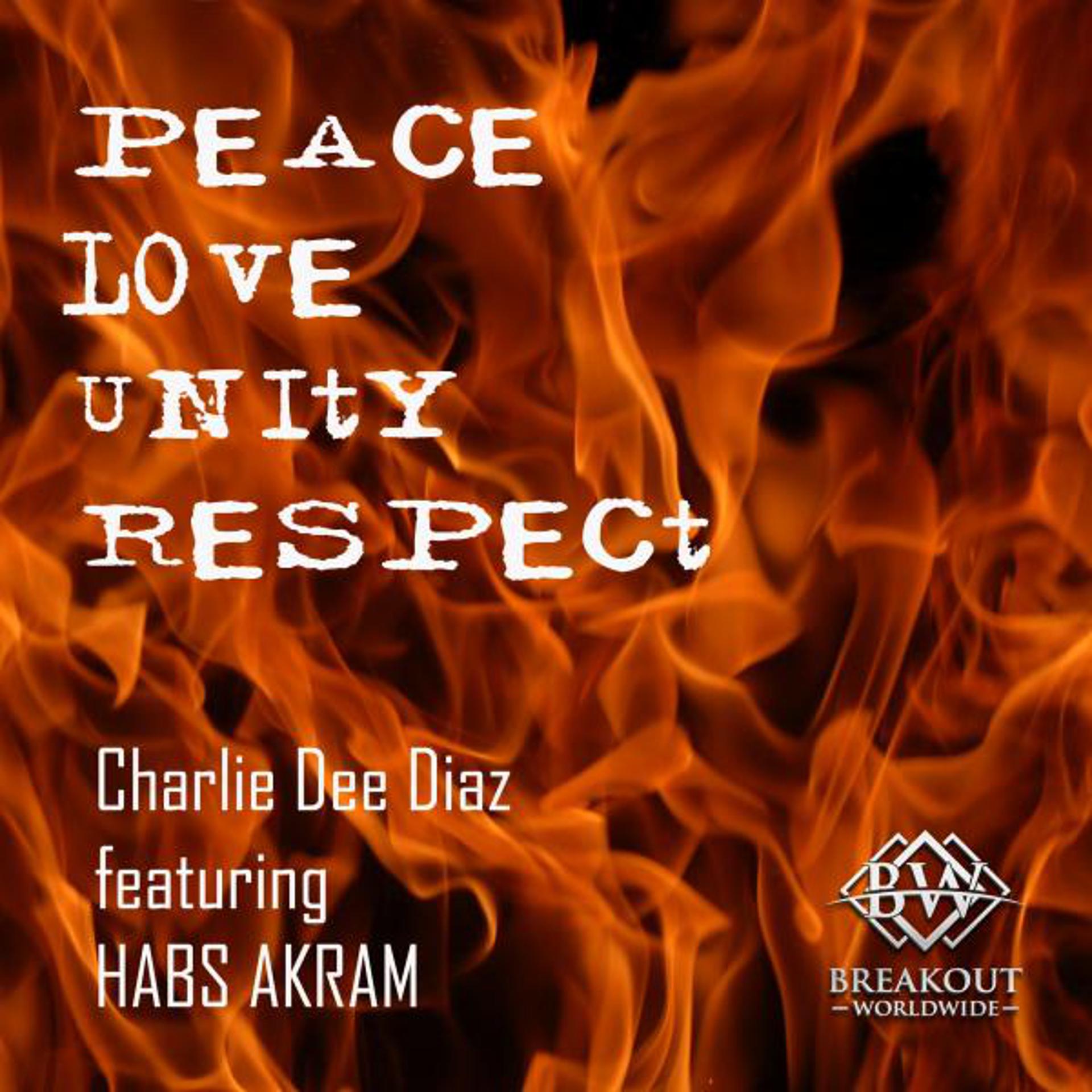 Постер альбома Peace Love Unity Respect (Extended)