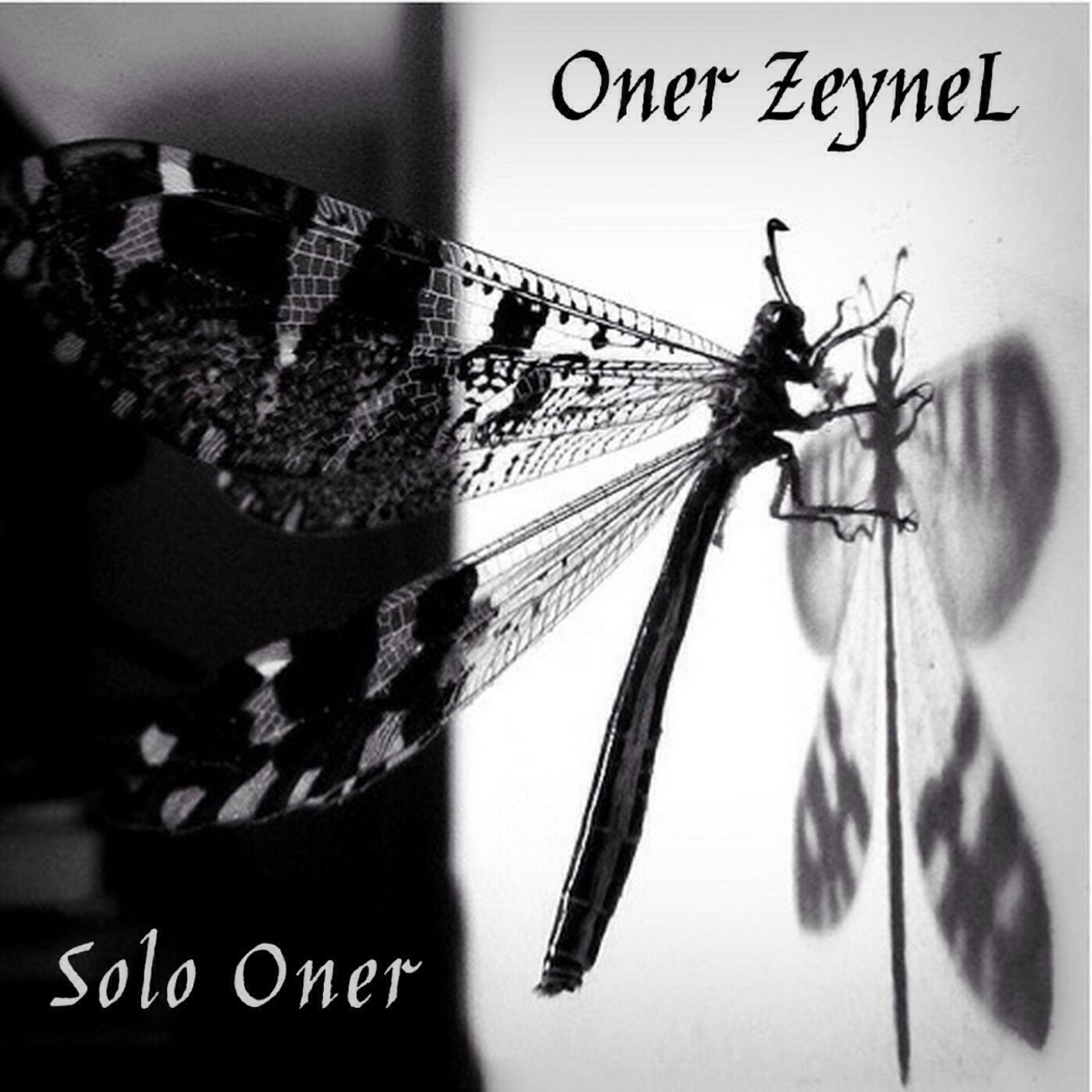 Постер альбома Solo Oner