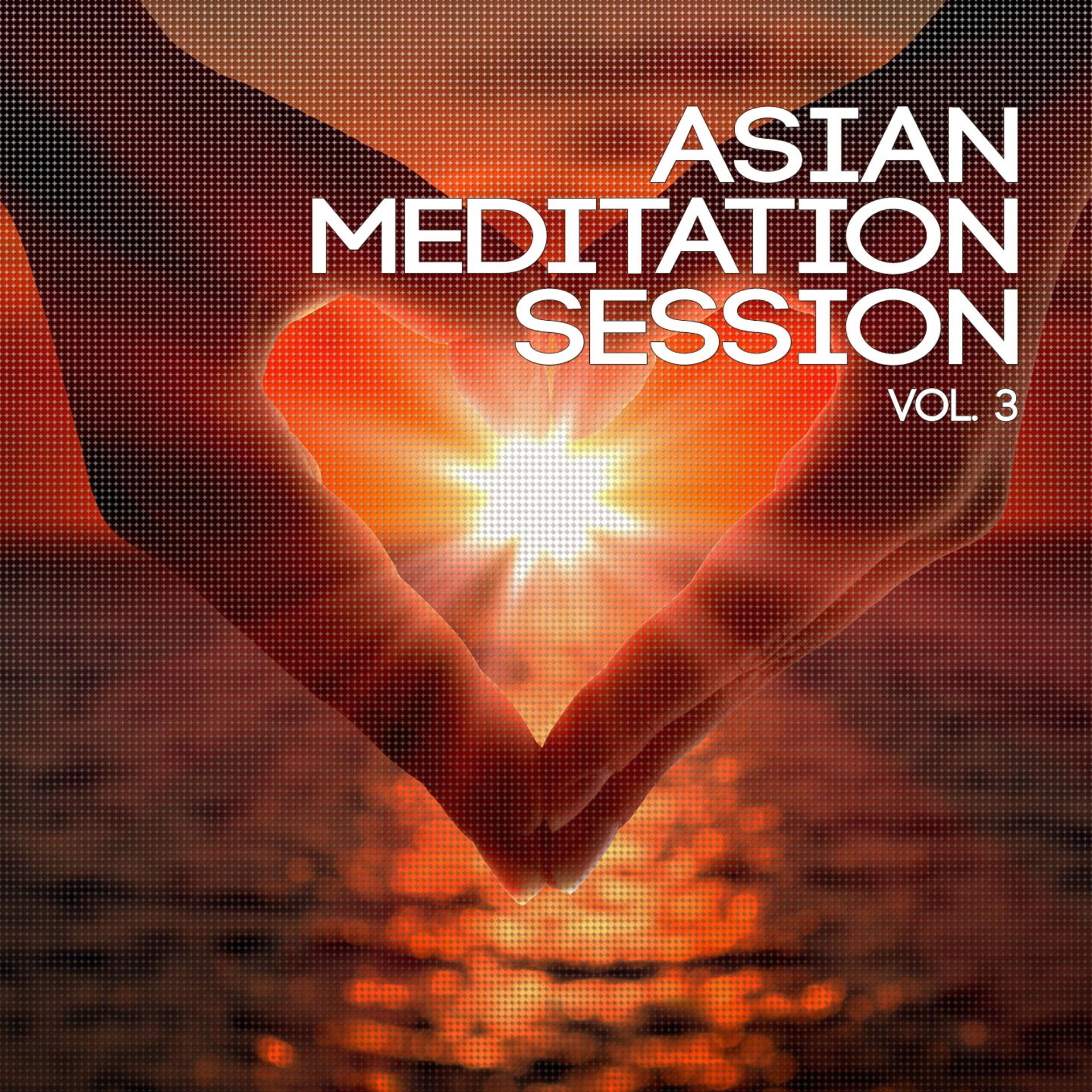 Постер альбома Asian Meditation Session, Vol. 3