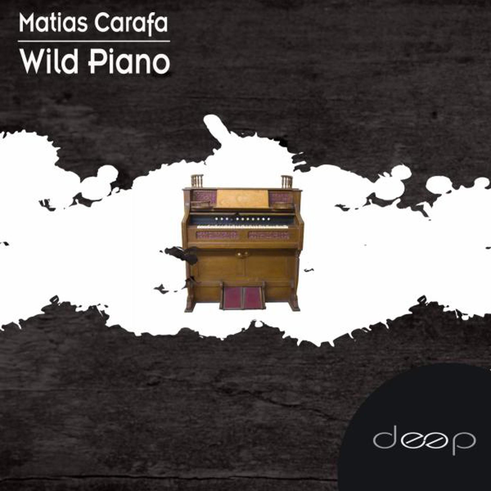 Постер альбома Wild Piano