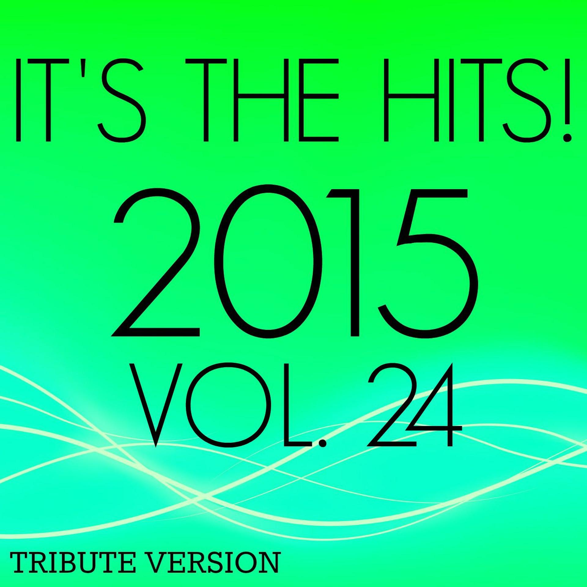 Постер альбома It's The Hits! 2015, Vol. 24