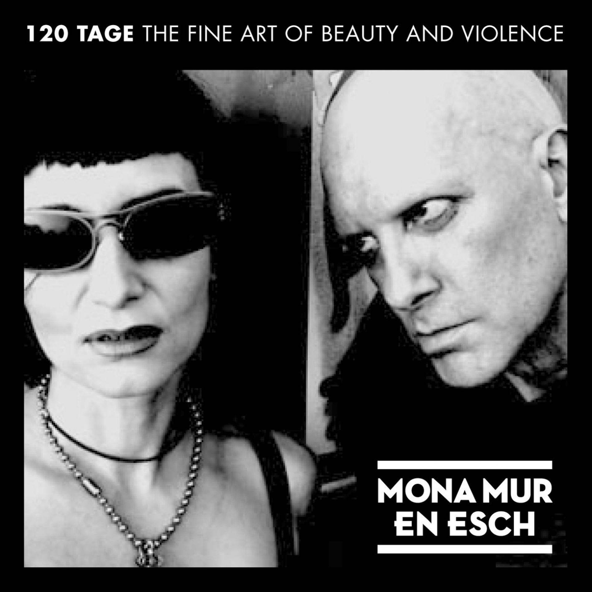 Постер альбома 120 Tage - The Fine Art of Beauty & Violence