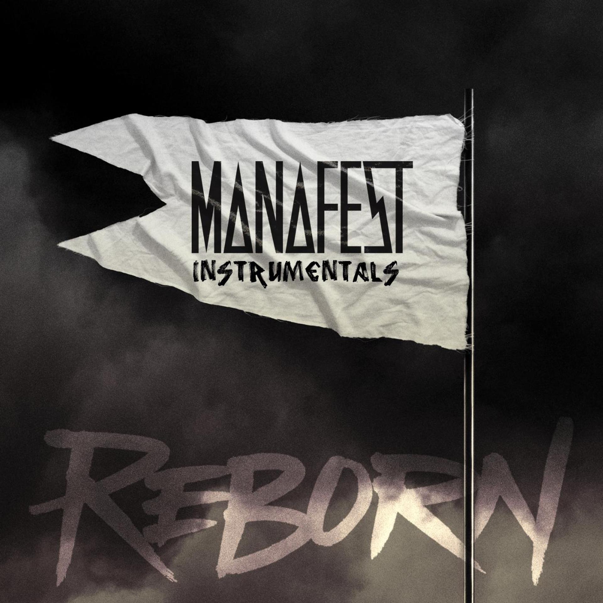Постер альбома Reborn (Instrumentals)