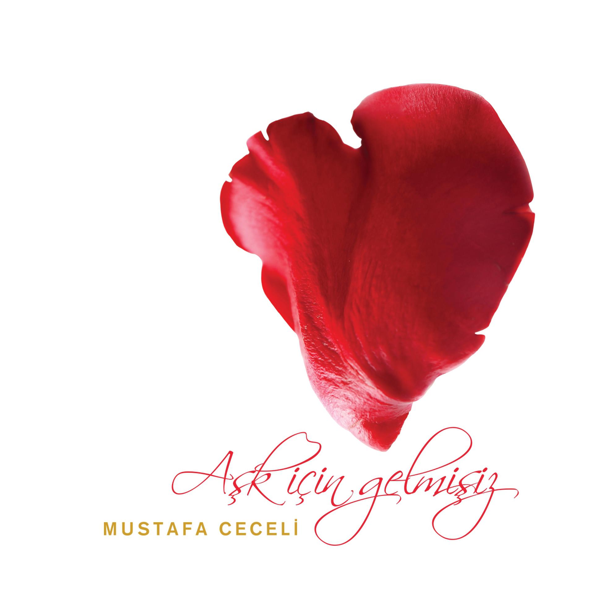 Постер альбома Aşk İçin Gelmişiz