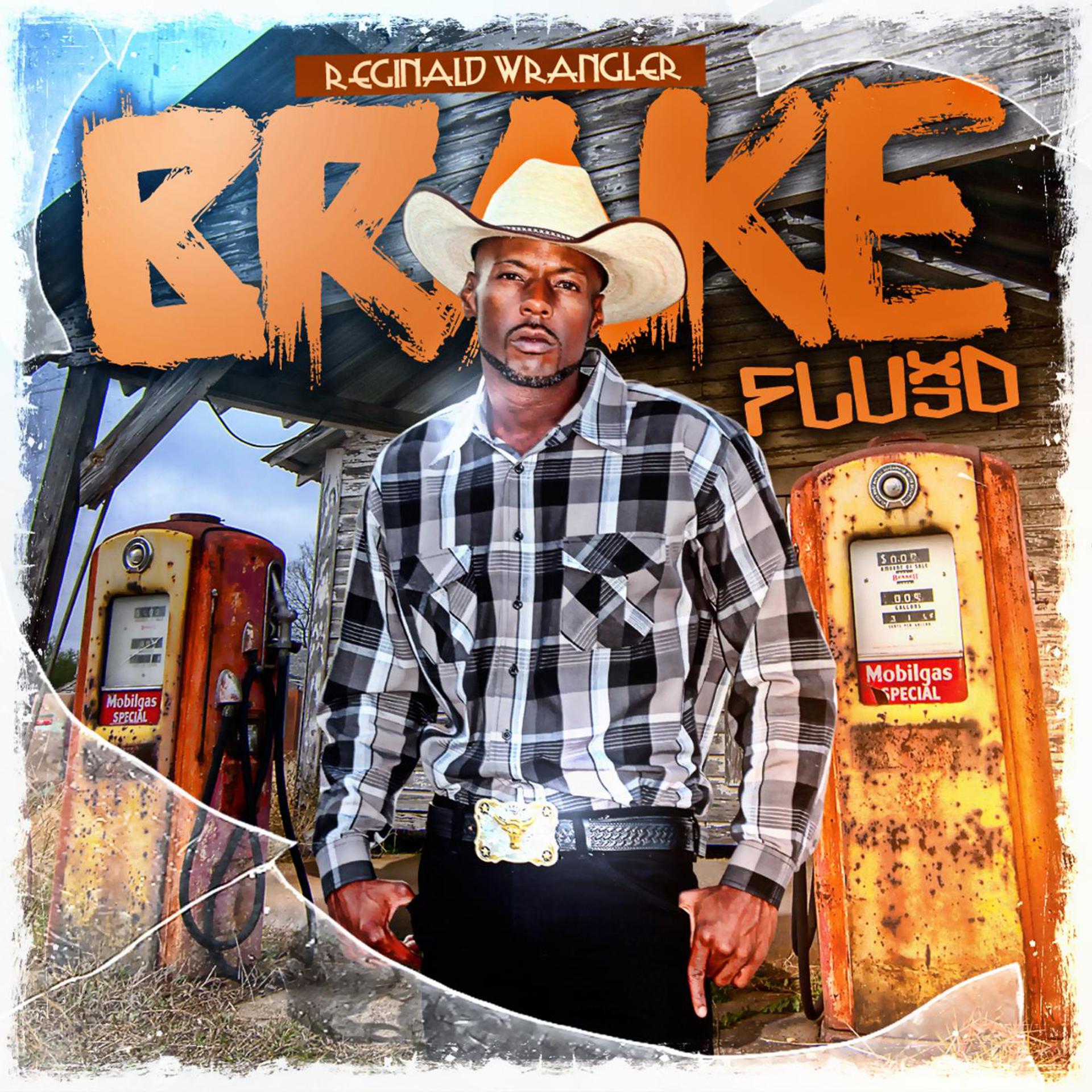 Постер альбома Brake Fluid